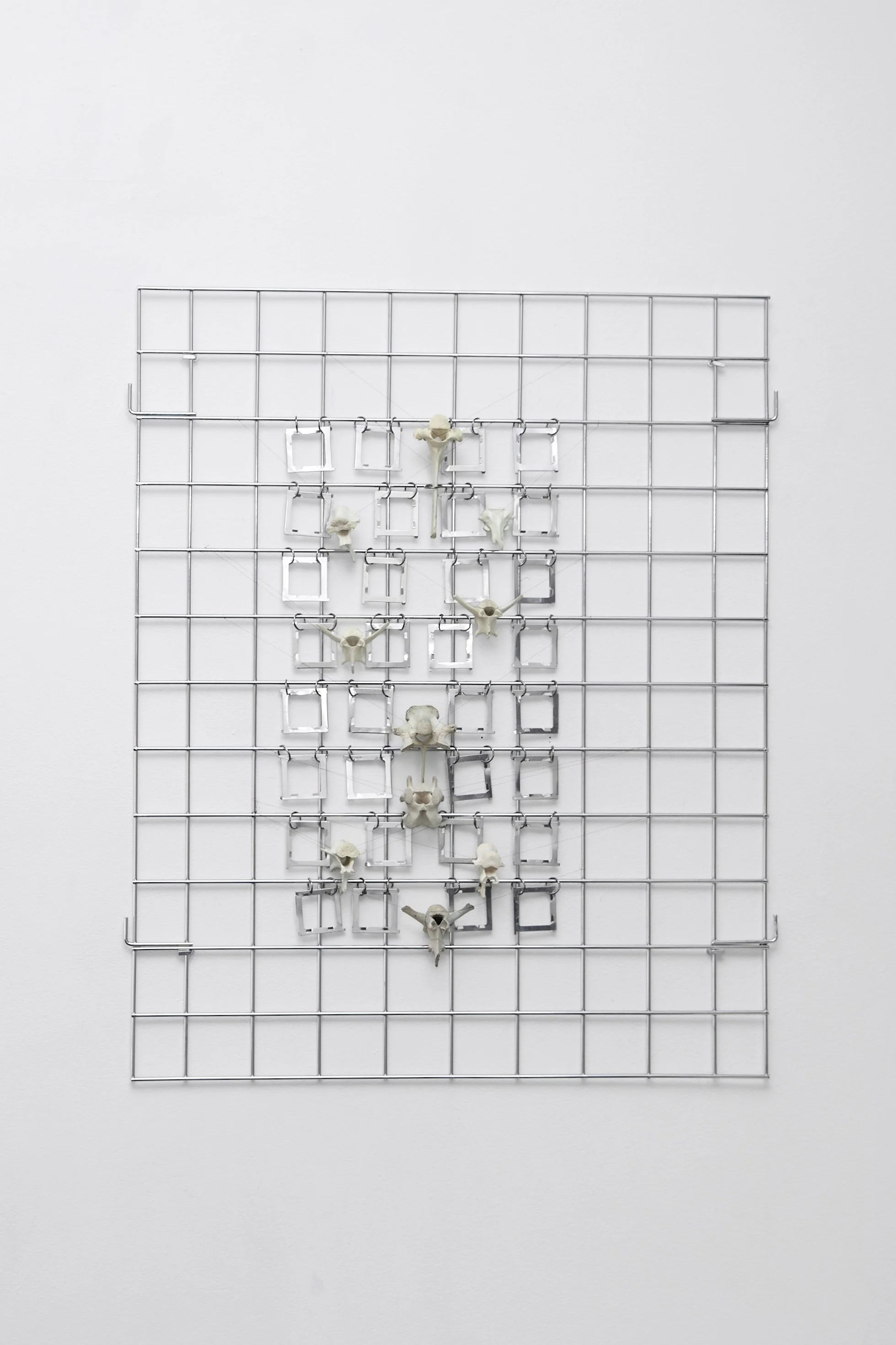 ENCOUNTER: MAN AND NATURE I  
Steel grid, vintage metal film holders, deer spinal fragments 