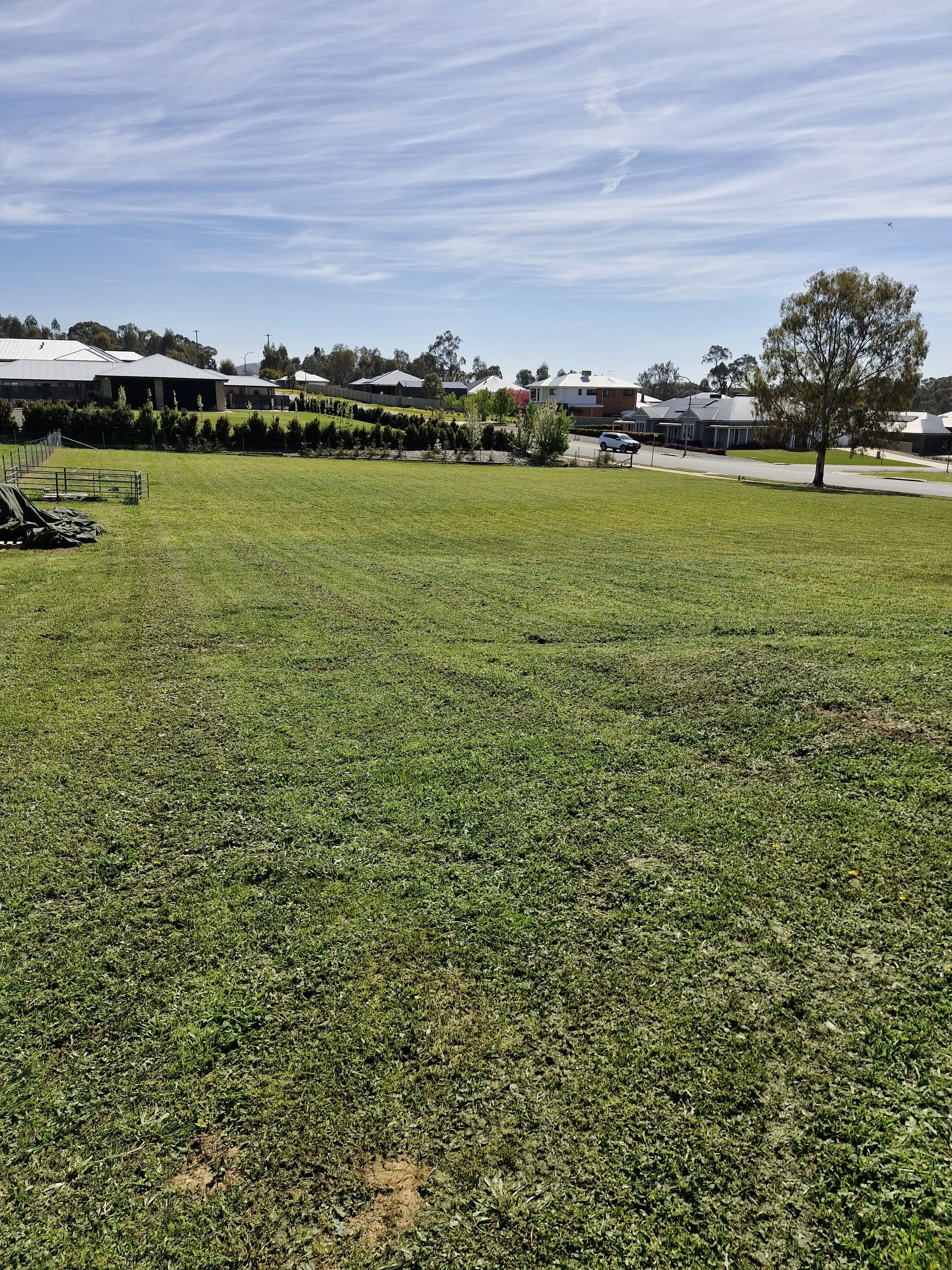 An open grassy field in a suburban neighborhood with houses, trees, and a blue sky in the background.