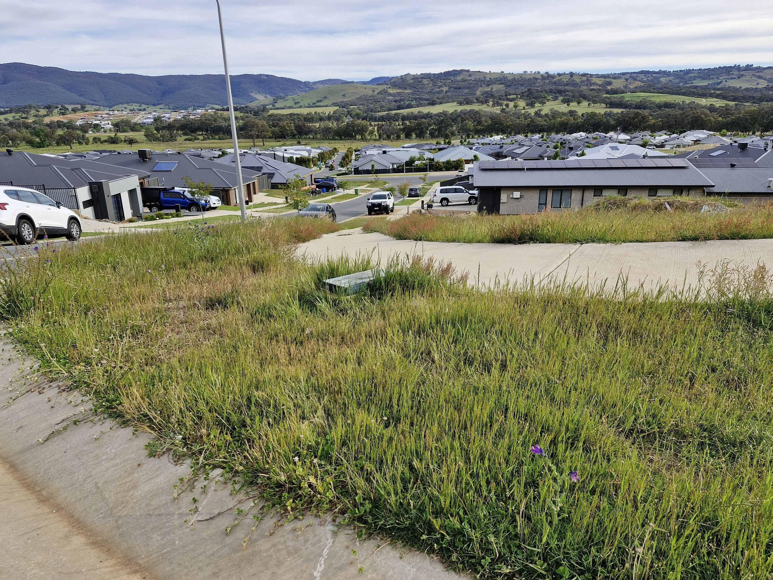 A grassy hill with overgrown weeds and wildflowers in front of a residential neighborhood with many modern houses and parked cars, set against distant rolling hills under a partly cloudy sky.