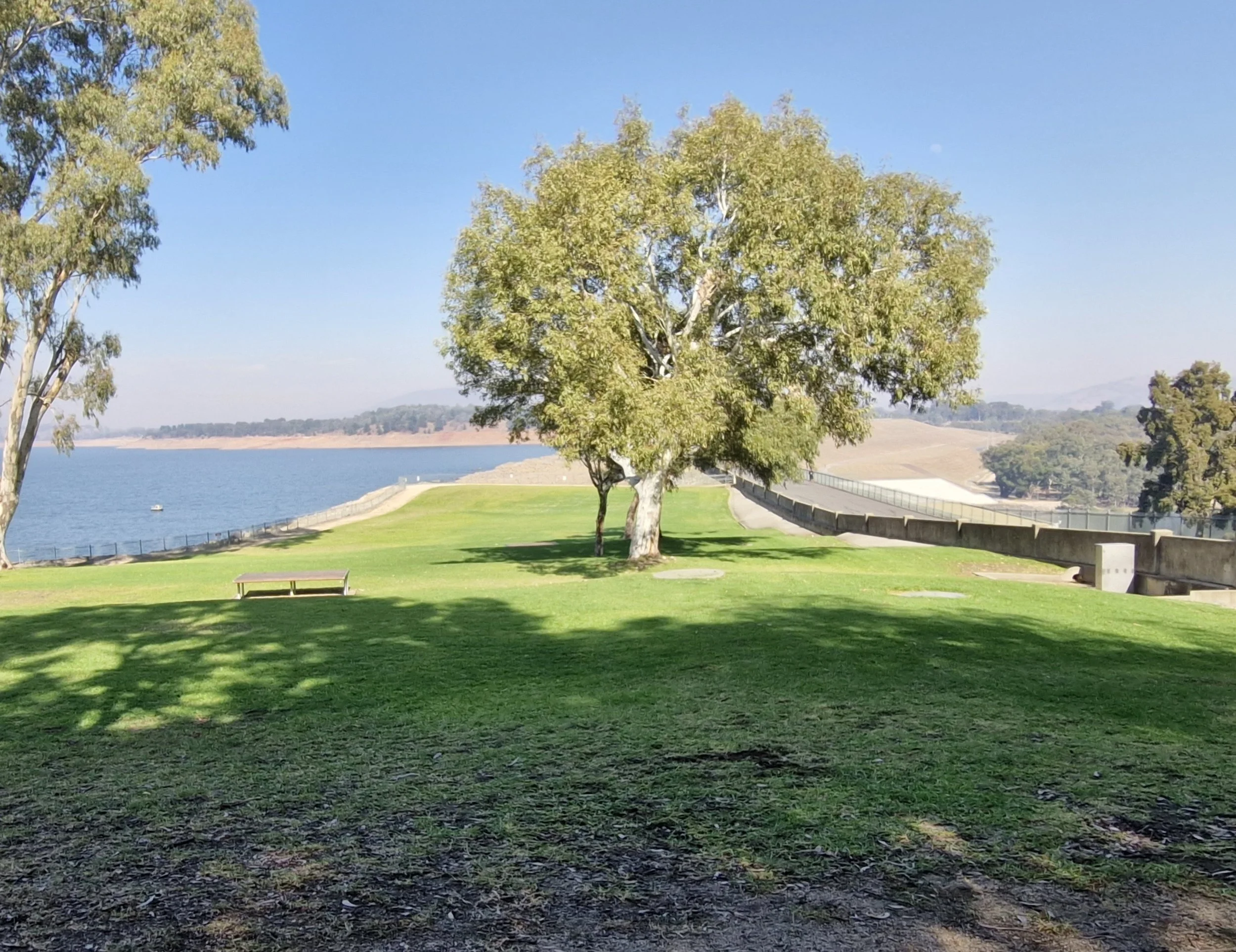 A lakeside park with green grass, two large trees, a bench, and a river with a dam in the background. Sunny weather with a clear blue sky.