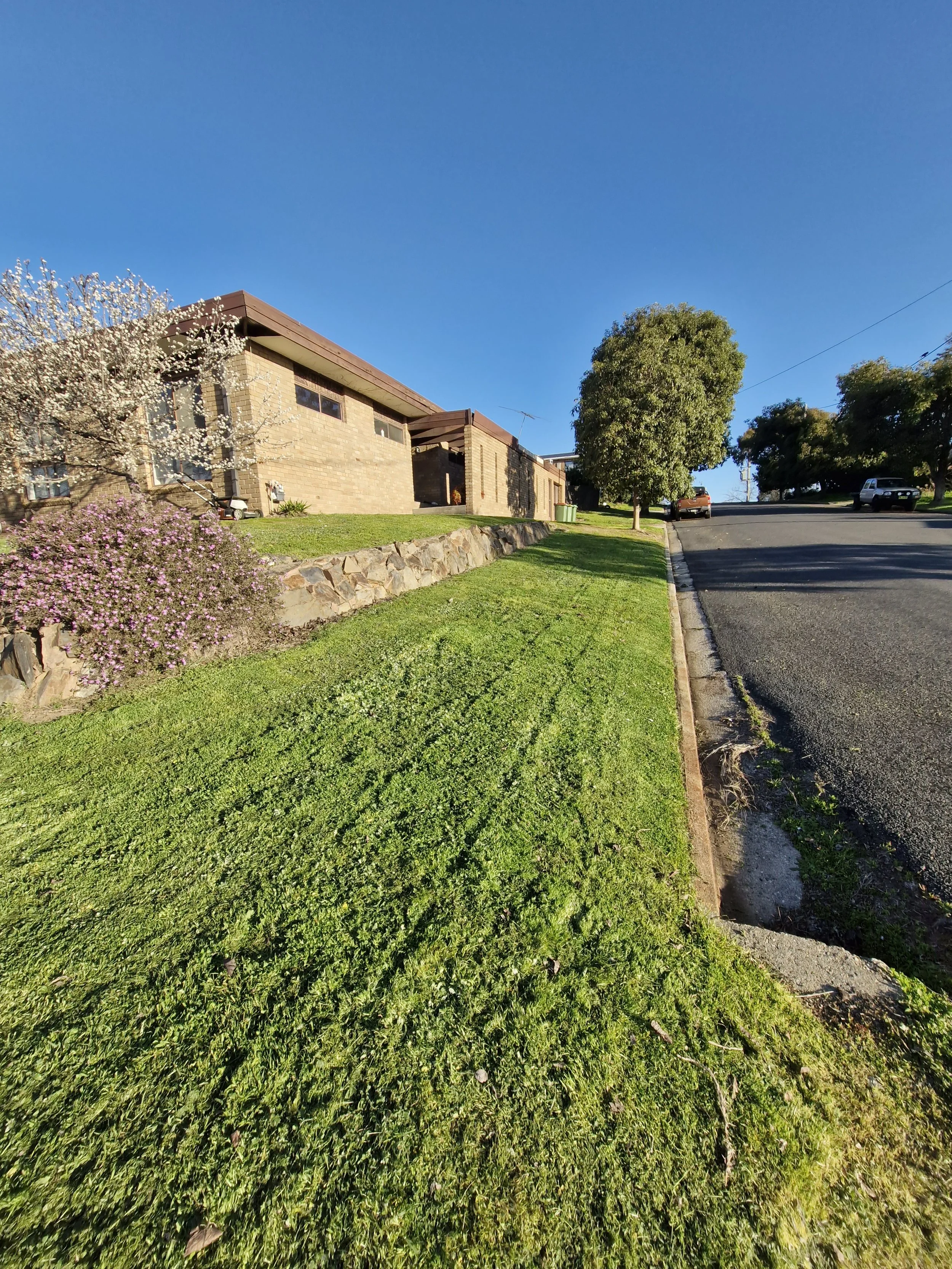 A residential street with a grassy lawn, a stone retaining wall, flowering trees, parked cars, and a single-story brick house with a sloped roof under a clear blue sky.
