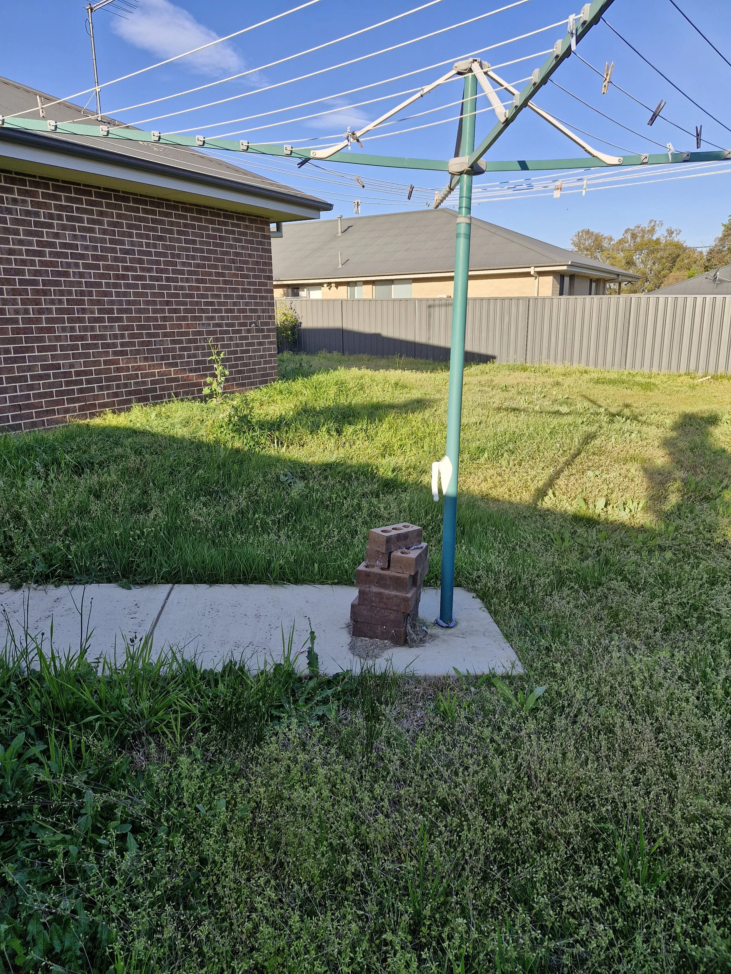 A backyard with a clothesline pole, some bricks at its base, a grassy area, a concrete pathway, and houses in the background.
