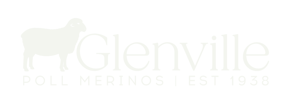 Glenville Poll Merinos