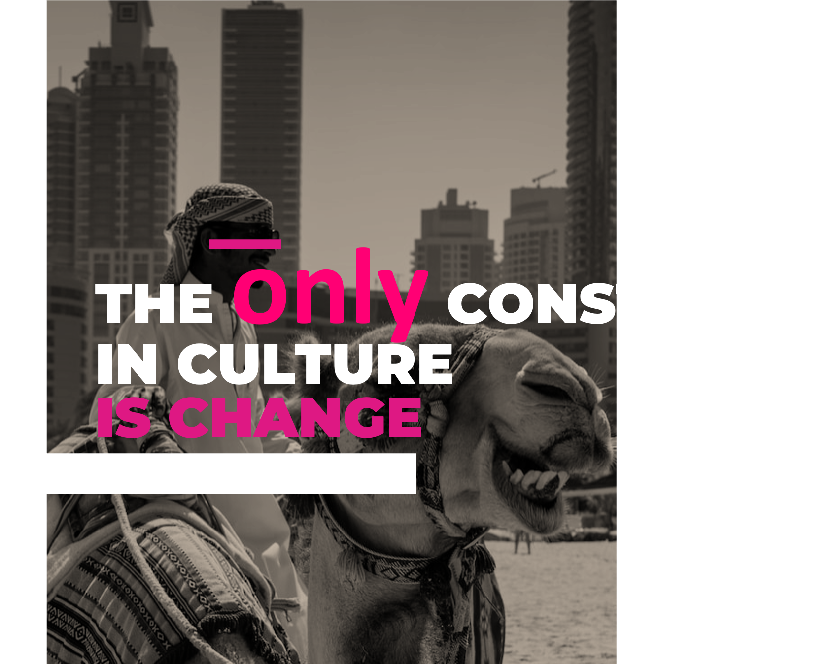 A person wearing a headscarf with a checkered pattern, sunglasses, and a striped garment, riding a camel in an urban setting with tall buildings in the background. The image includes overlaid text: "The only culture in change" with some words in pink and others in white.