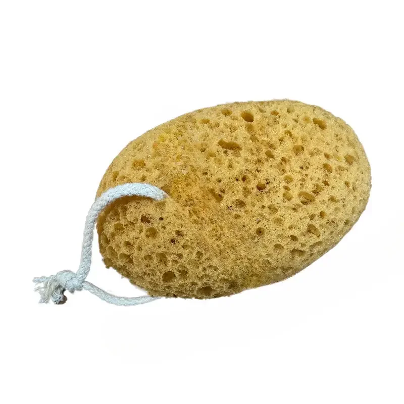 Honeycomb Bathing Seaweed Sponge