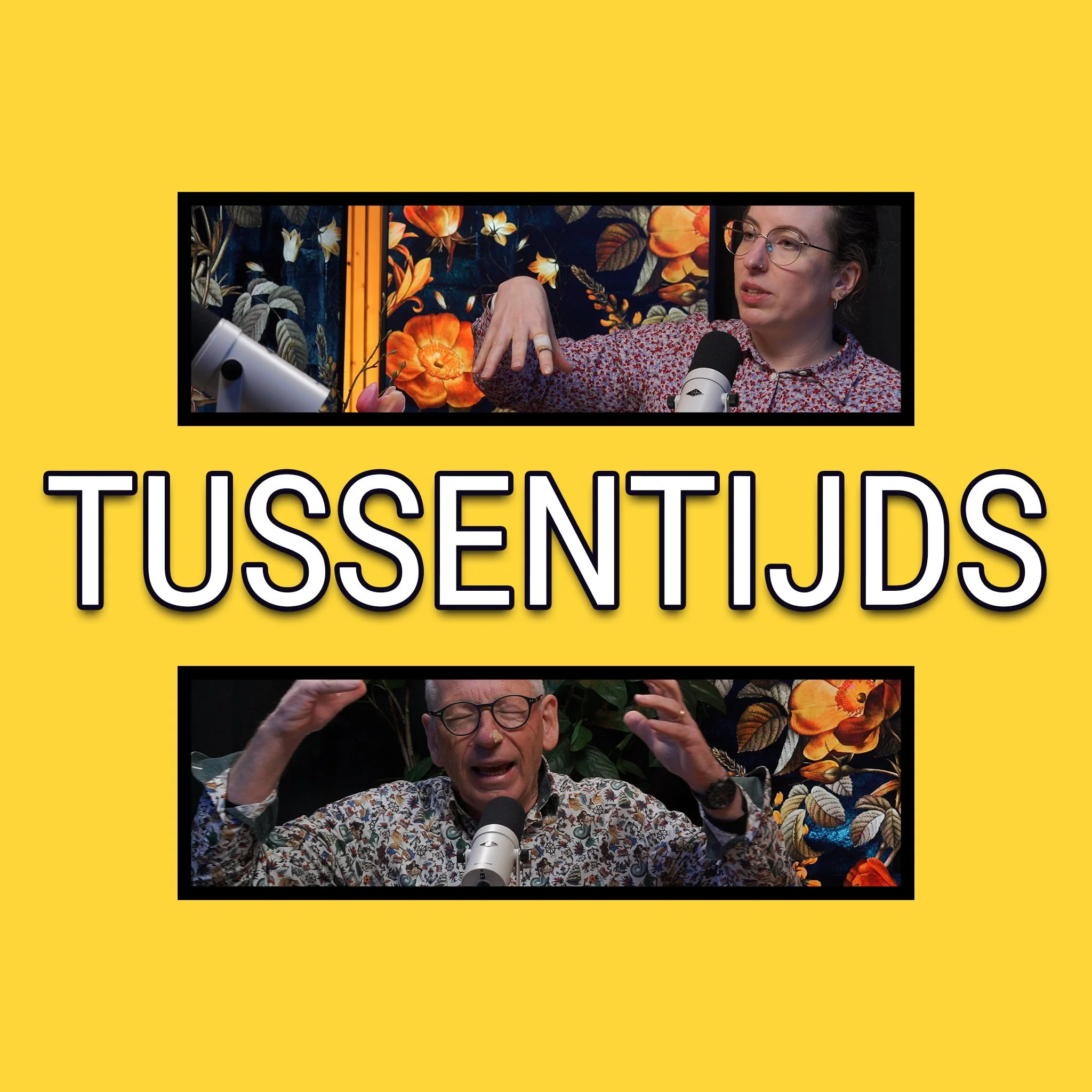 Tussentijds is een spin off van de Kudo Media podcast Groningse Geschiedenis. In Tussentijds praten Titus en Marlot over hun wekelijkse geschiedenis bevindingen.