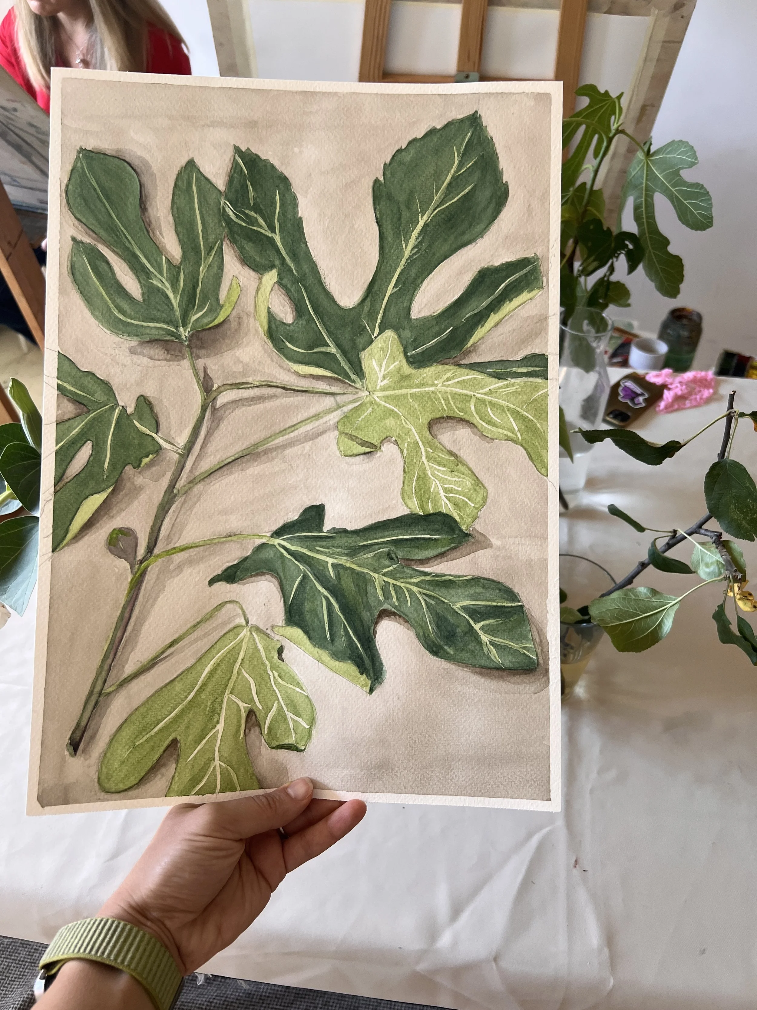 A person holding a watercolor painting of fig leaves, with real fig plants and a table visible in the background.
