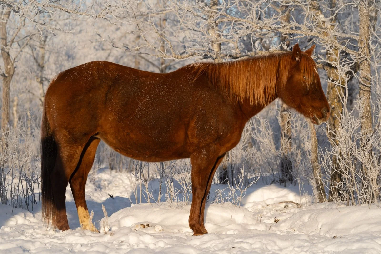 WhatsApp Image 2026-01-16 at 5.55.37 PM.jpeg