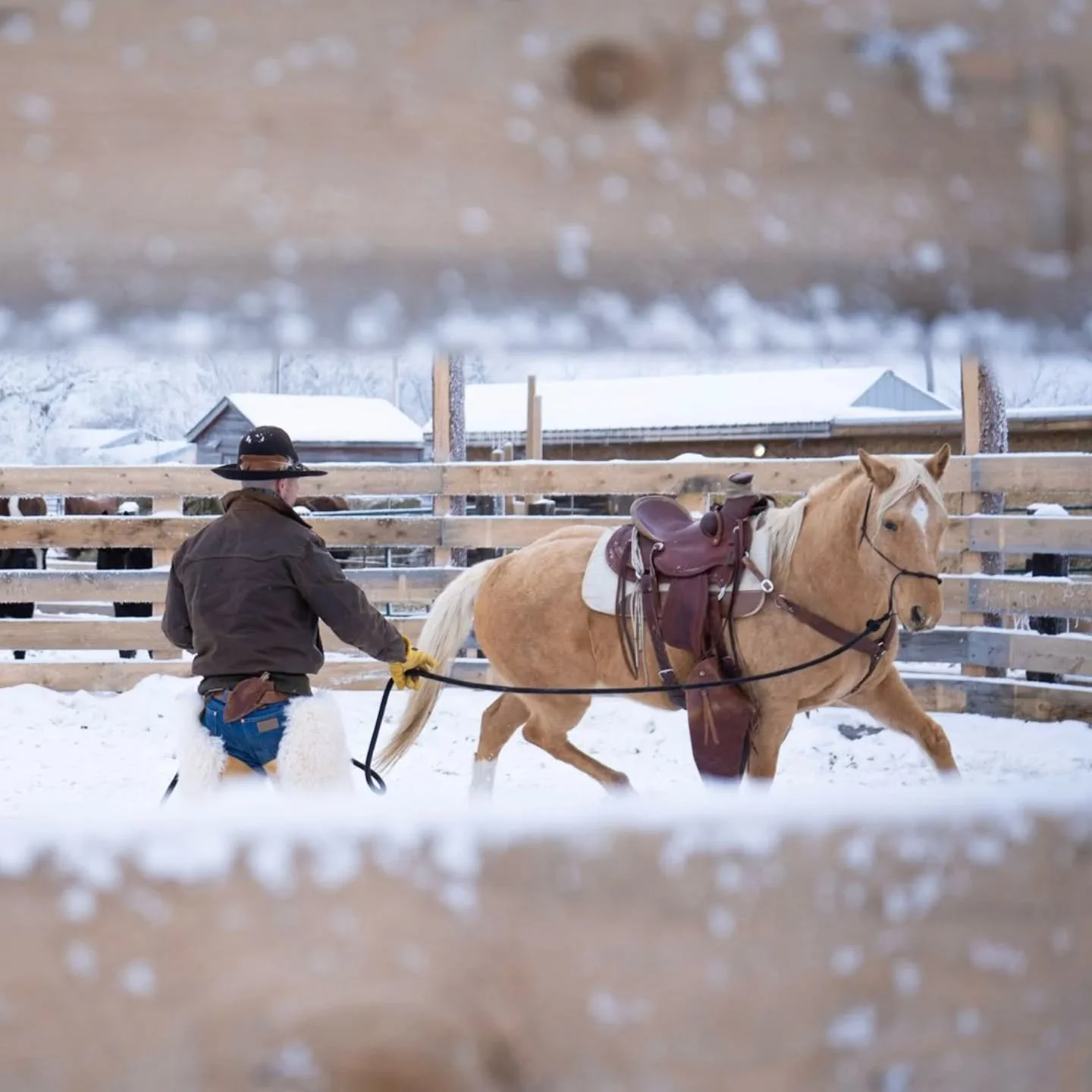 630237282_17935217652165036_6888329696012328504_n.jfif