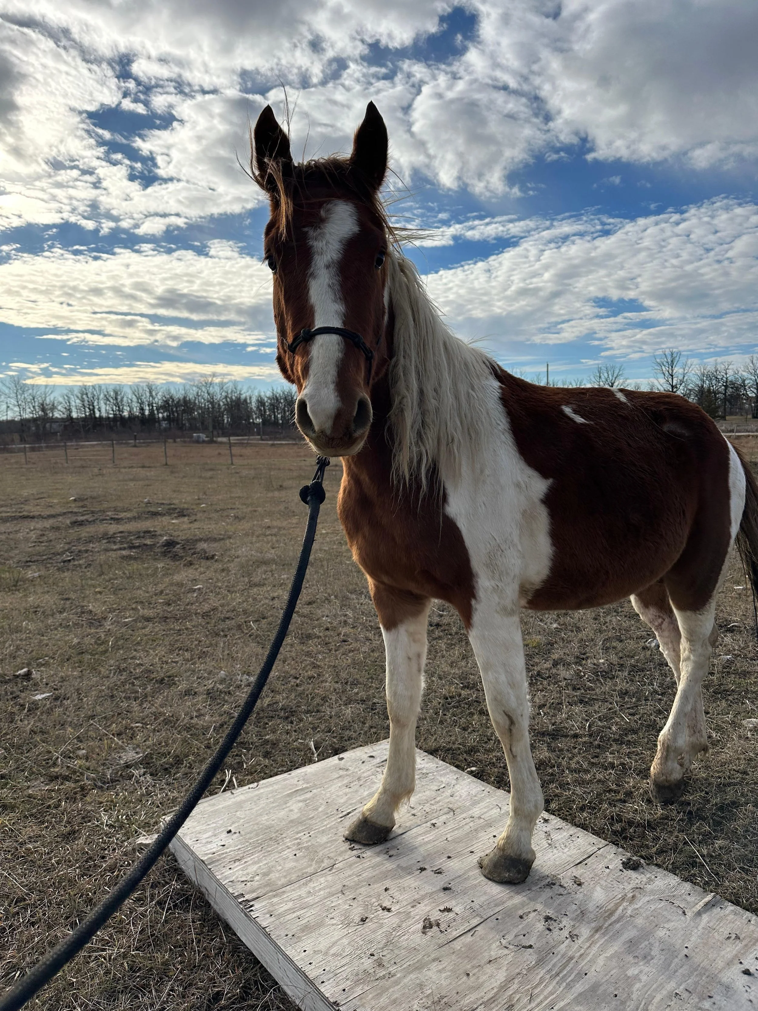 WhatsApp Image 2026-04-18 at 12.26.19 PM.jpeg