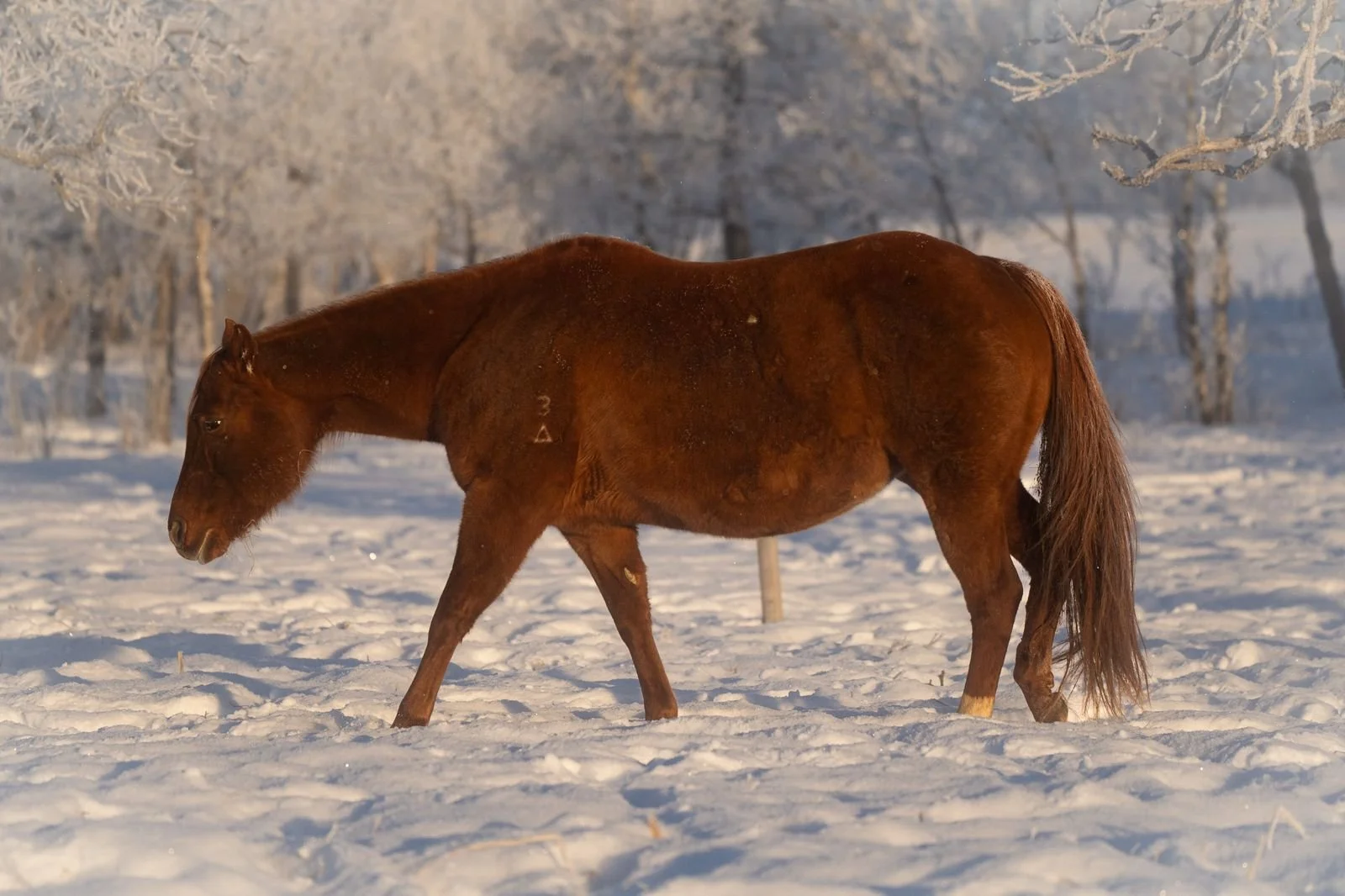 WhatsApp Image 2026-01-16 at 512.55.37 PM.jpeg