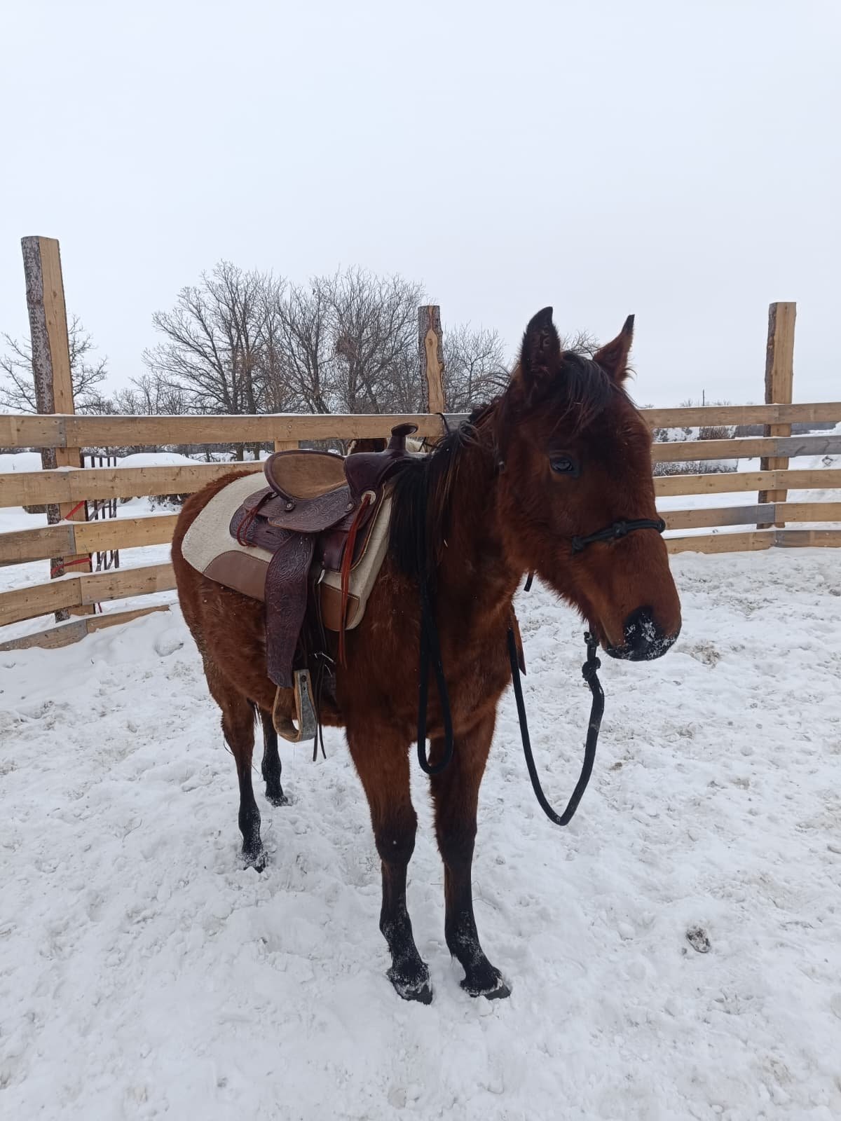 WhatsApp Image 2026-04-18 at 1.02.18 PM.jpeg