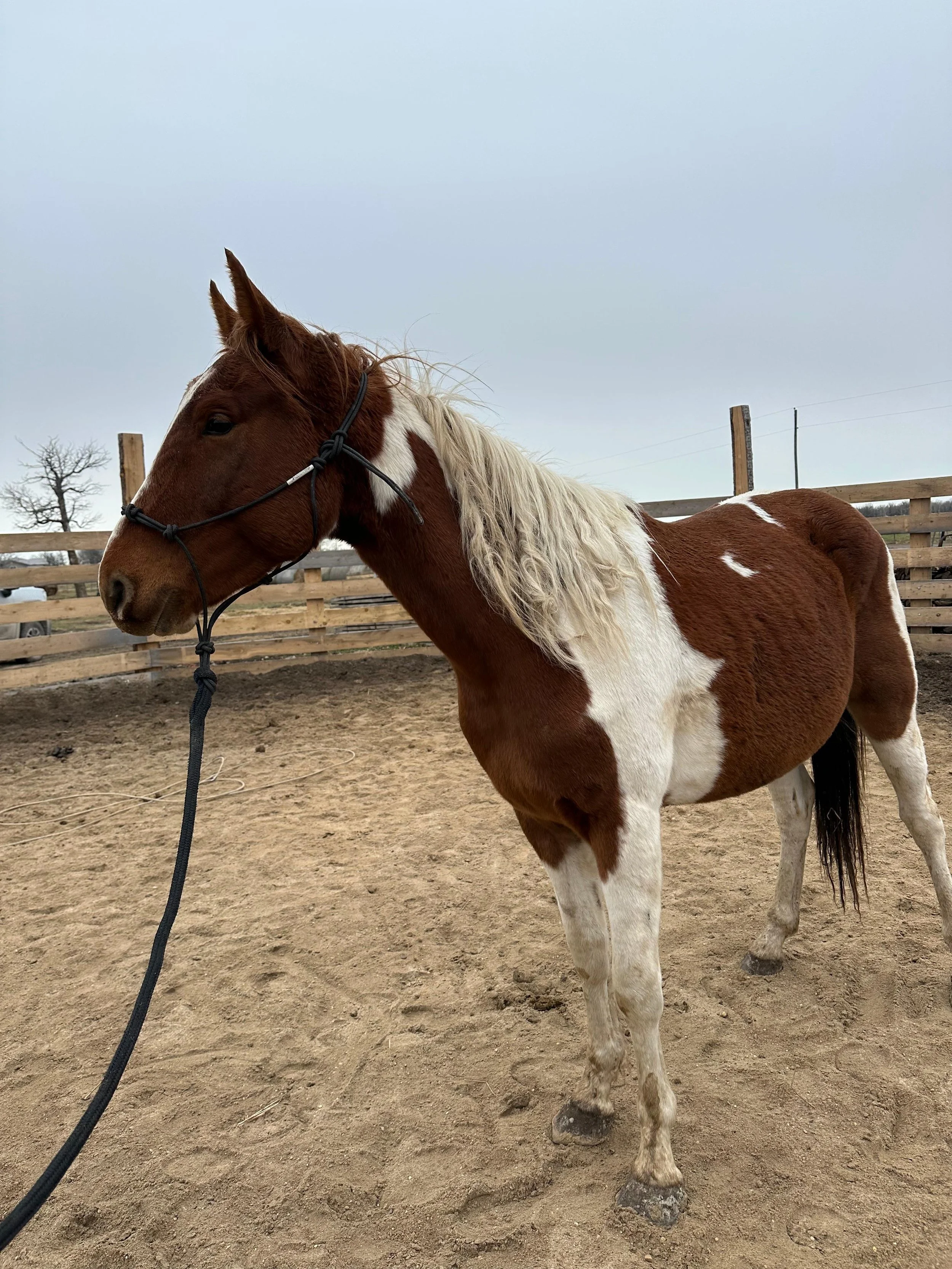 WhatsApp Image 2026-04-18 at 12.26.17 PM.jpeg