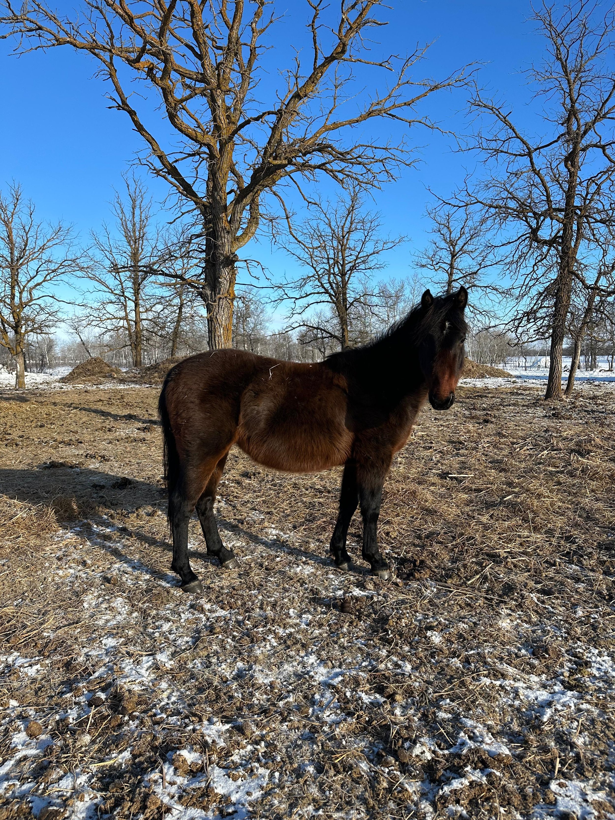 WhatsApp Image 2026-04-18 at 11.13.59 AM.jpeg