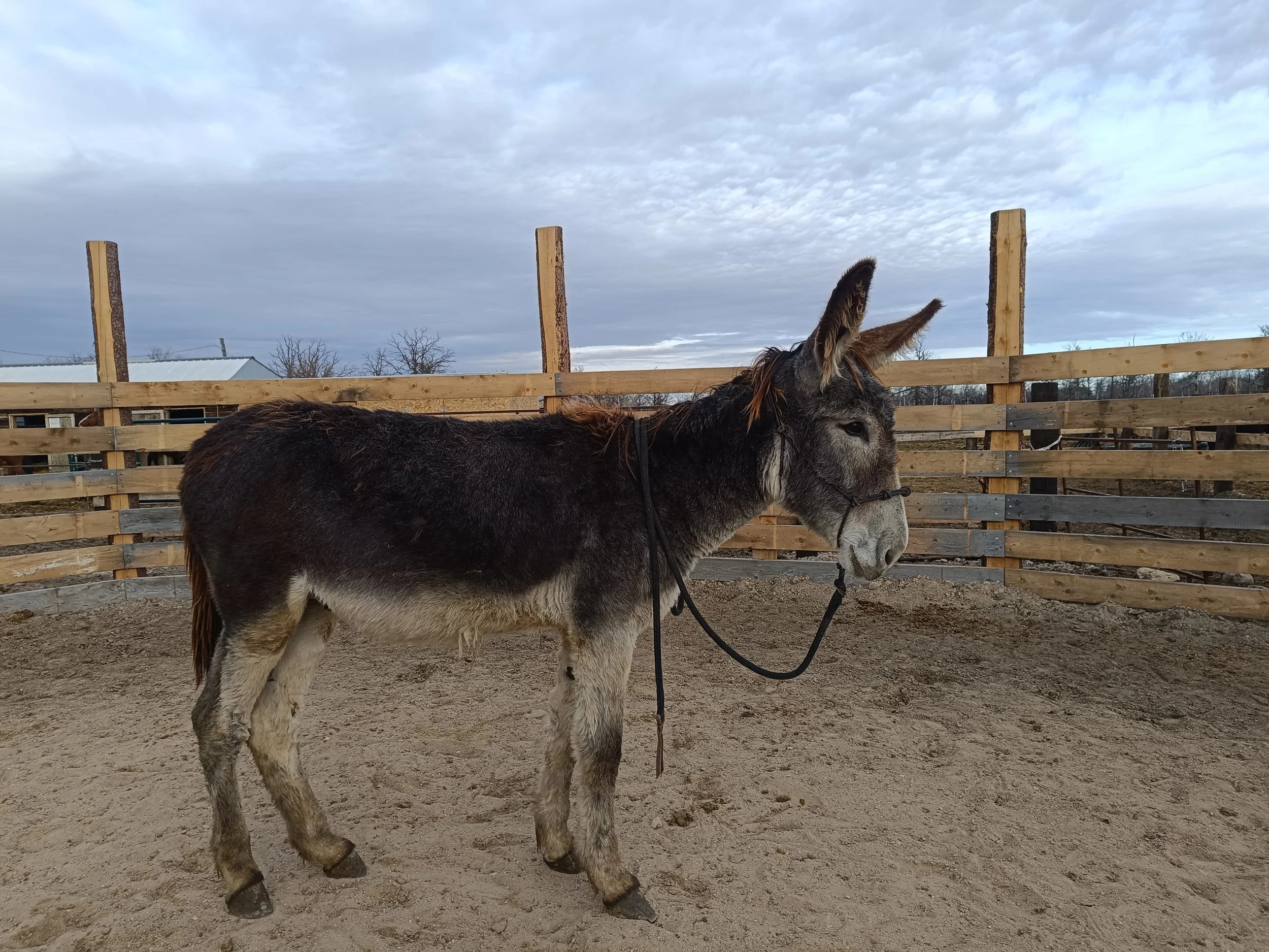 WhatsApp Image 2026-01-17 at 17.07.28.jpeg