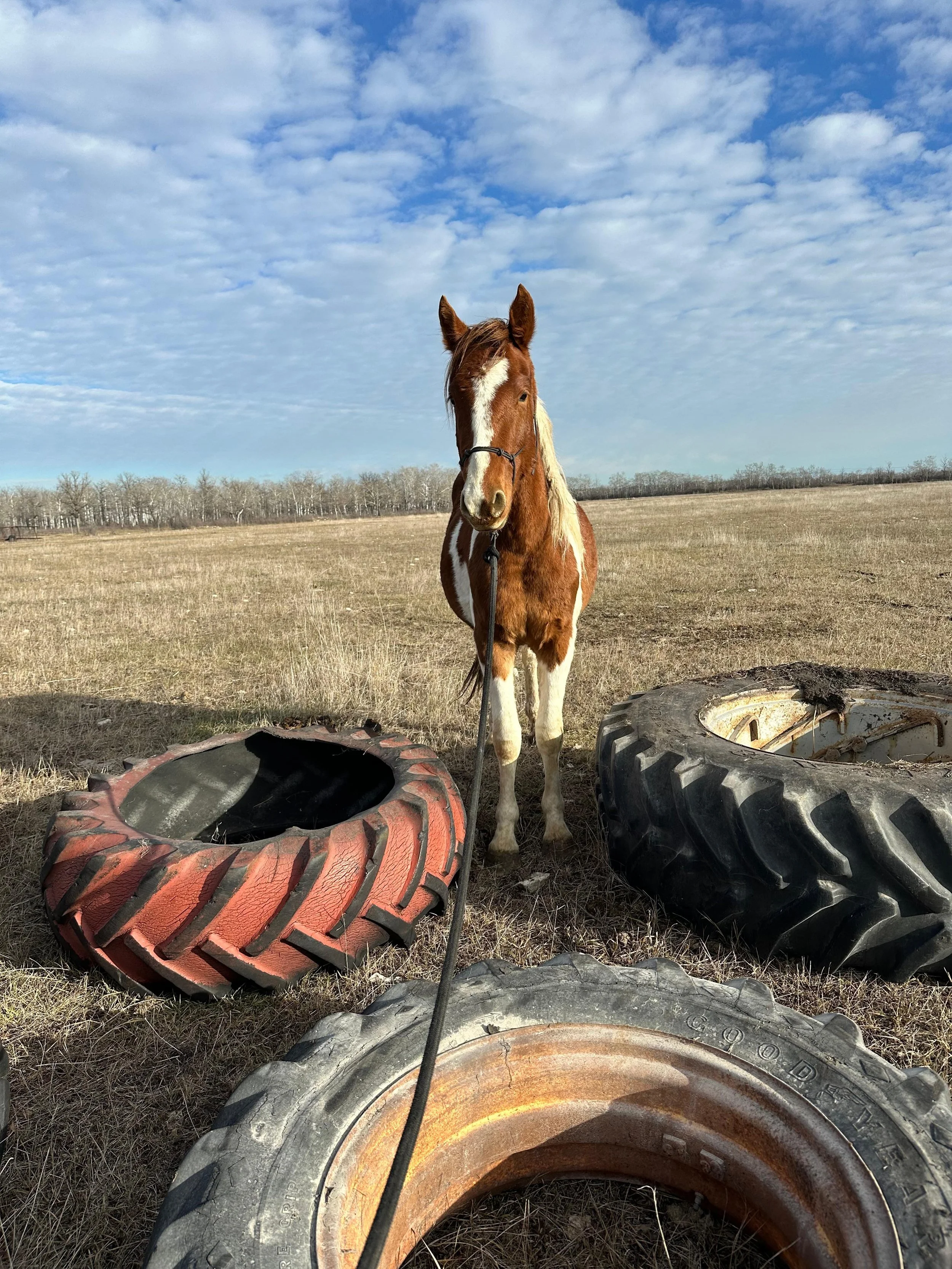 WhatsApp Image 2026-04-18 at 12.26.19 PM (1).jpeg