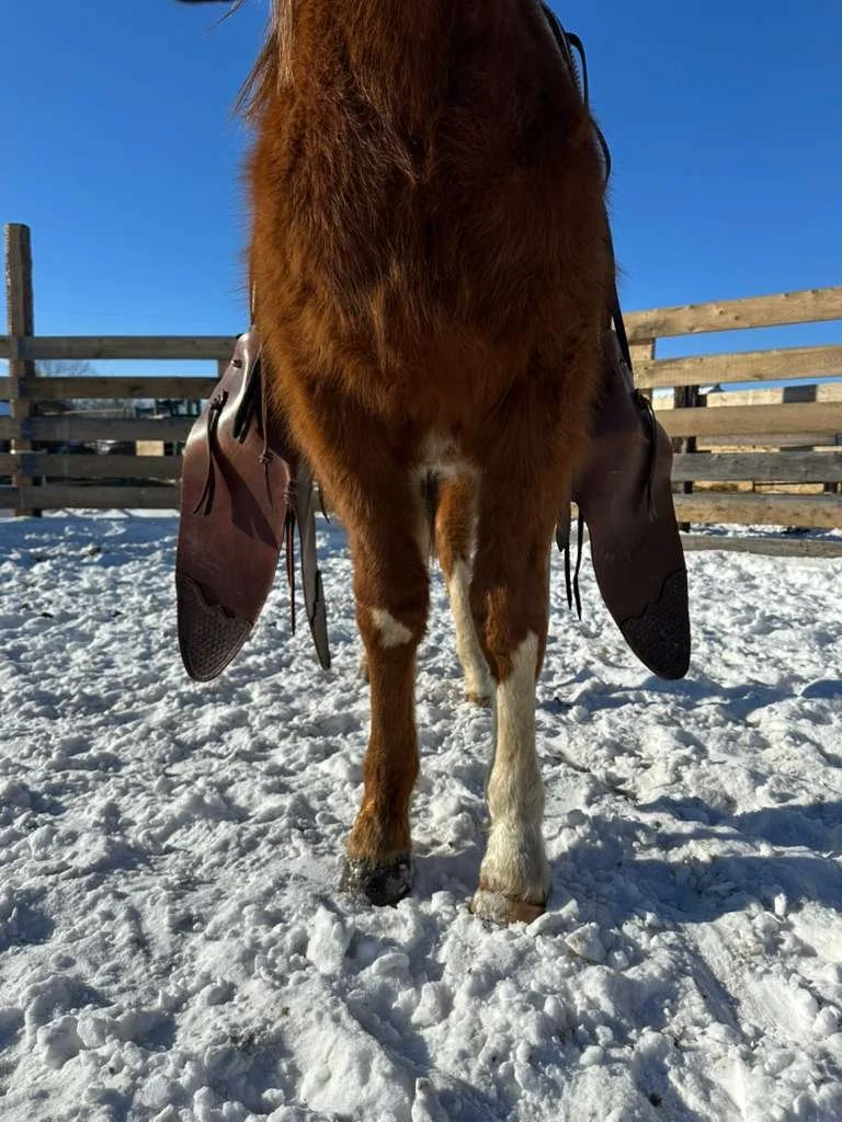 WhatsApp Image 2026-04-18 at 11.55.27 AM.jpeg