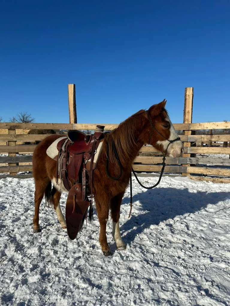 WhatsApp Image 2026-04-18 at 11.55.26 AM.jpeg