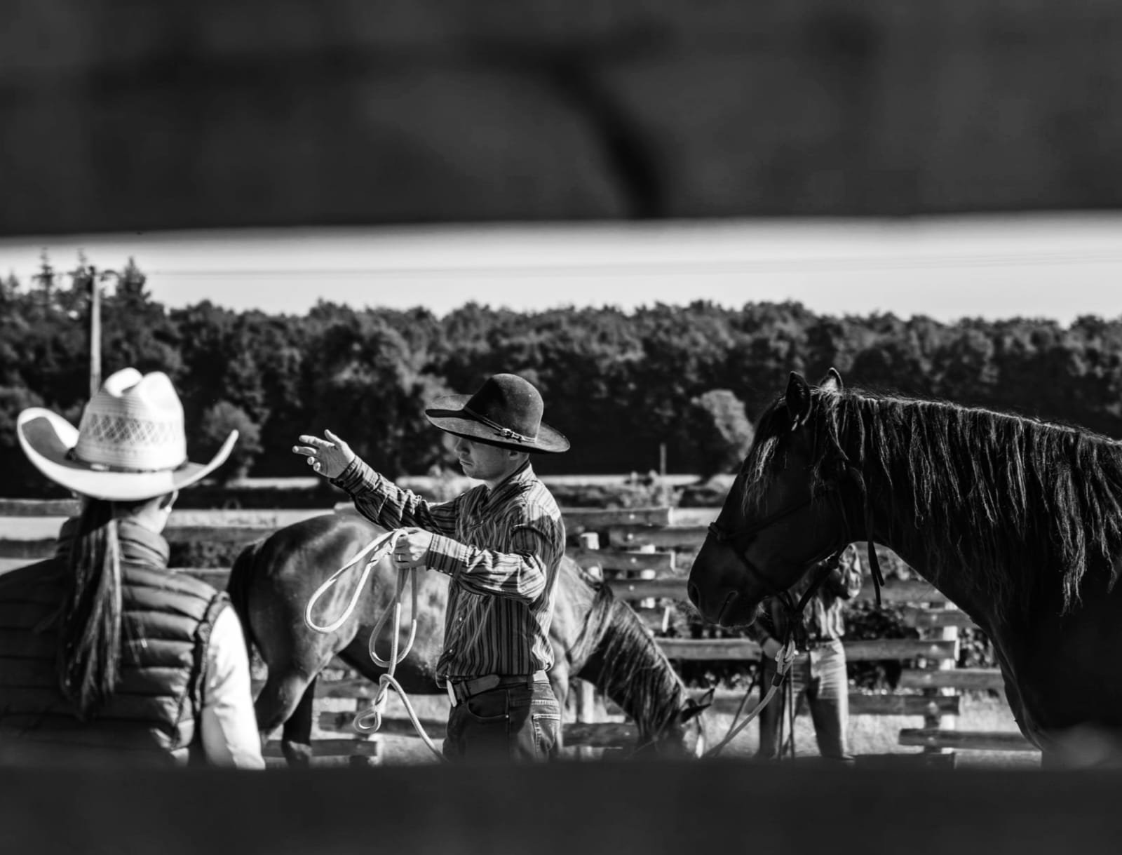 WhatsApp Image 2025-06-15 at 14.14.46.jpeg