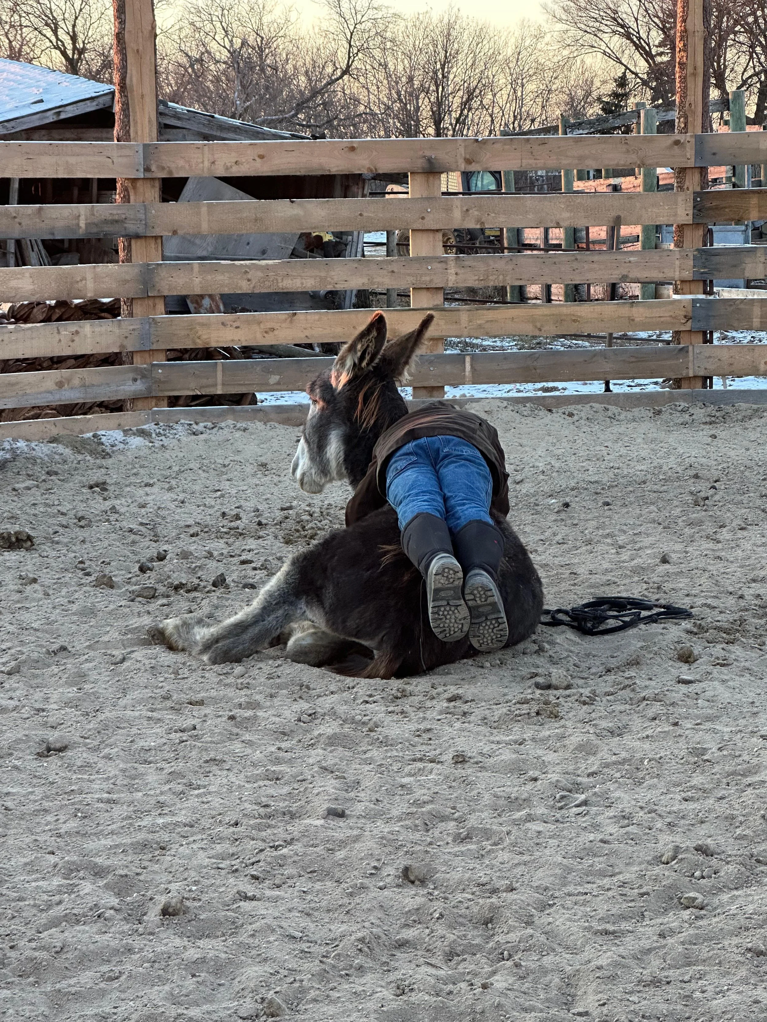 WhatsApp Image 2026-01-17 at 17.14.25.jpeg