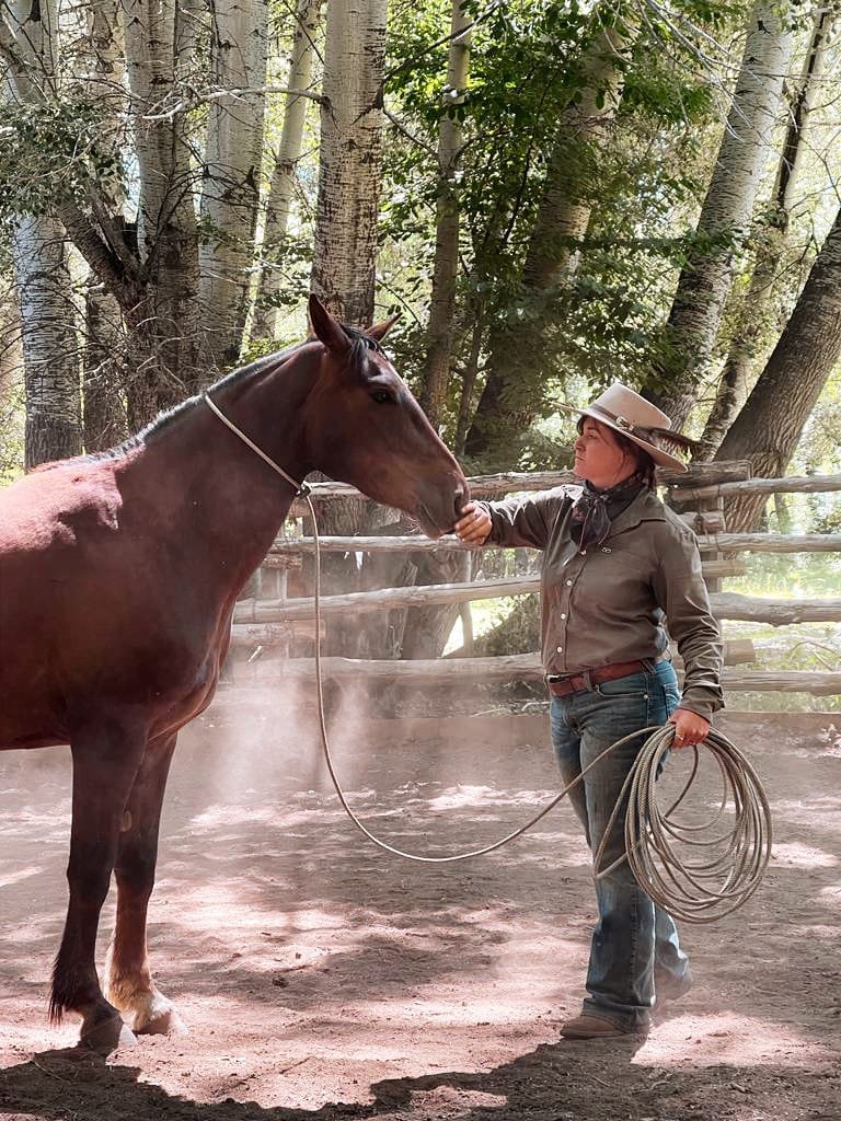 57b0dc31-18ae-4c2d-ac67-5b3108c7041f copy.JPG