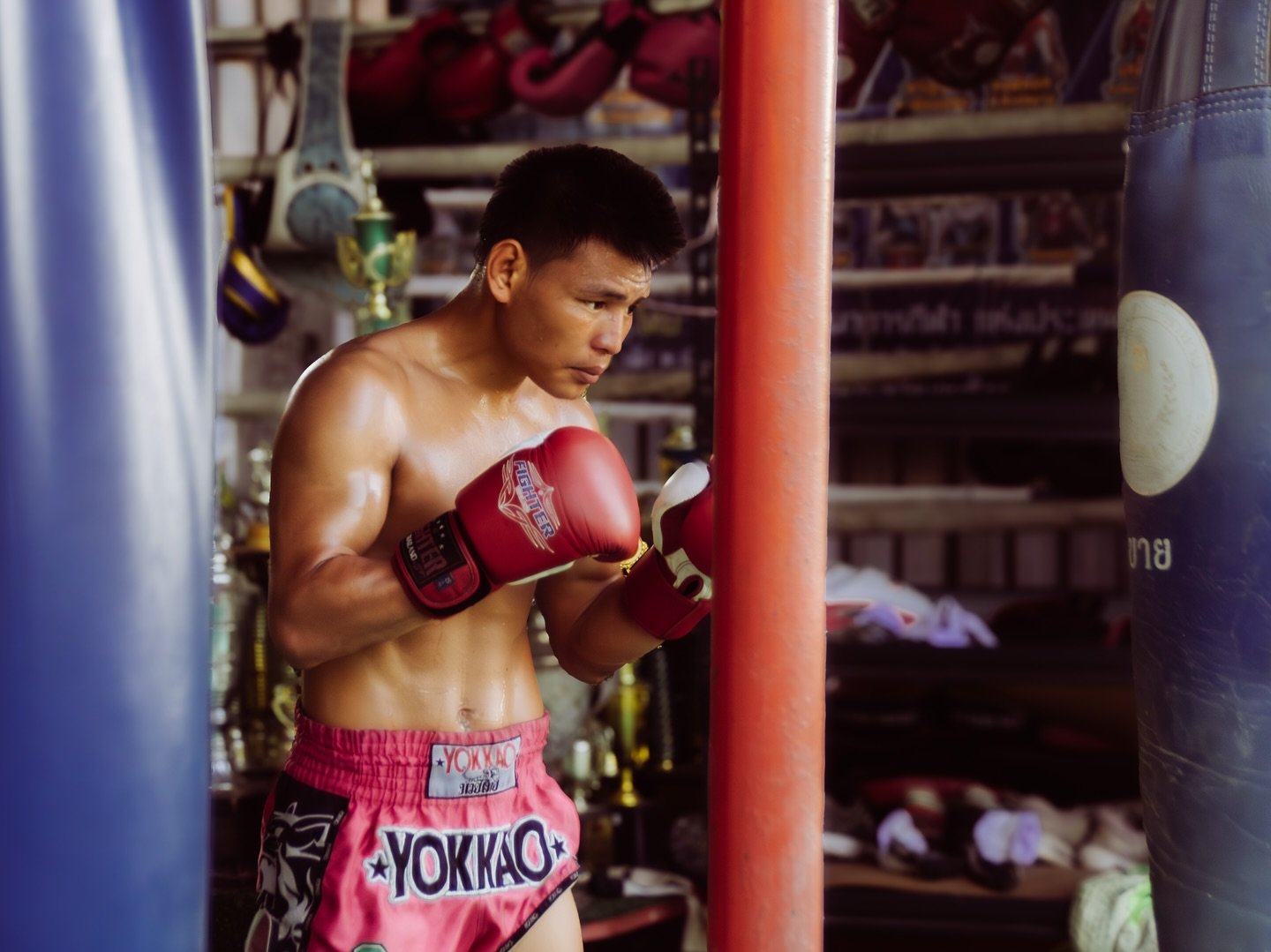 วันชนะ พ. เมืองเพชร | Portrait of Wan Chana Por MueangPhet 

#muaythaiphotography #nakmuaythai #muaythaifighter #muaythai #martialartsphotography