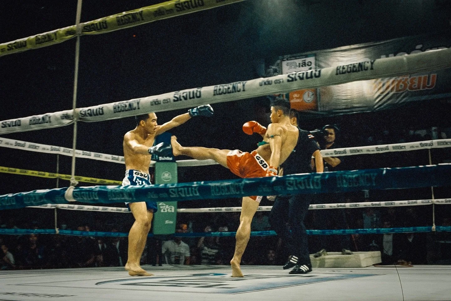 ยอดนที ผดุงชัย (Yodnatee Padunchai) - ISO 400 Film 

#filmphotomag #filmphotographer #filmphotograph #muaythai #มวยไทย