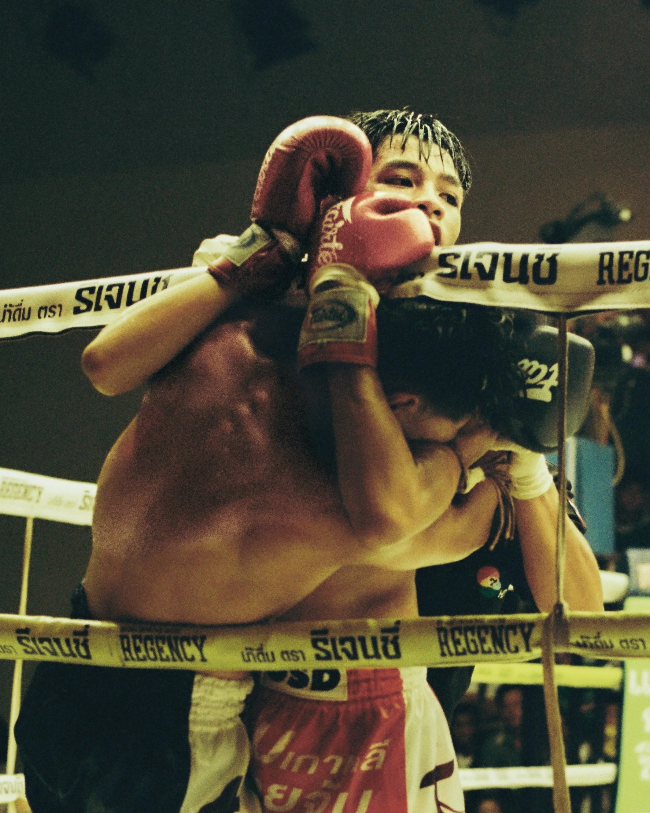 เพชรสกาย พีเค. เล็กเก๊สเฮ้าส์ 

📸 KODAK FILM 200

#muaythaiphotography #muaythai #nakmuay #muaythailife #muaythaifighter
