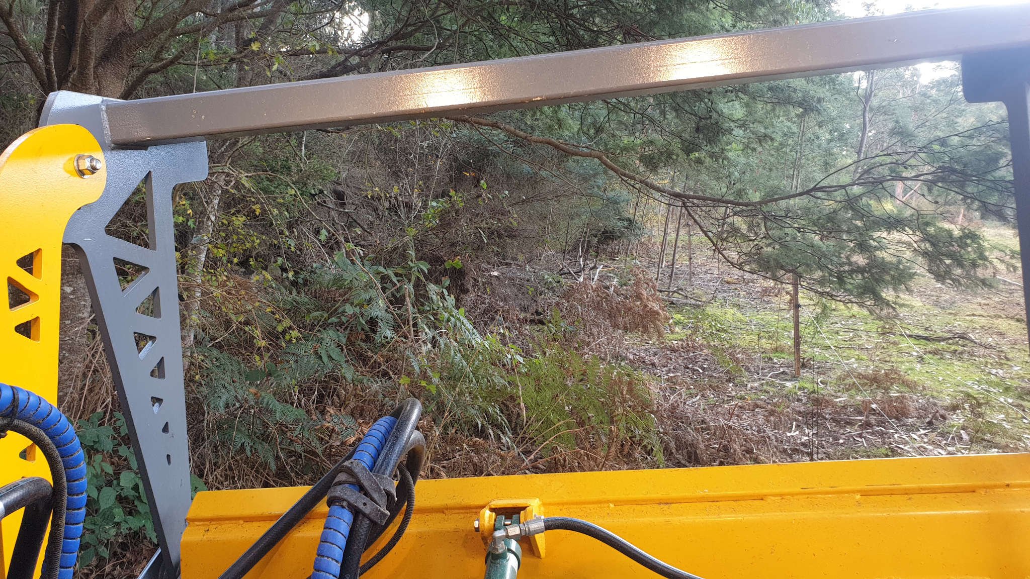 Vegetation Management in the Huon Valley: A Smarter Way to Care for Your Land