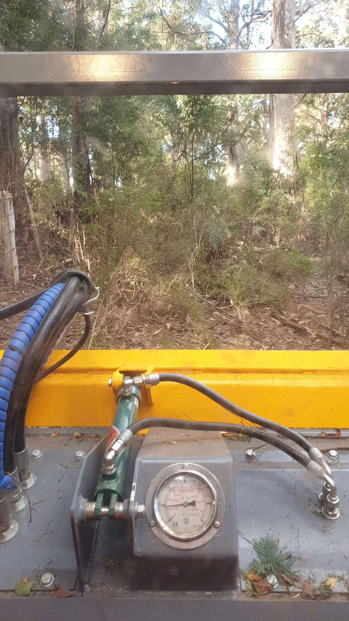 View from inside a forest clearing with a piece of heavy machinery, showing hydraulic hoses, a gauge, and yellow metal components.