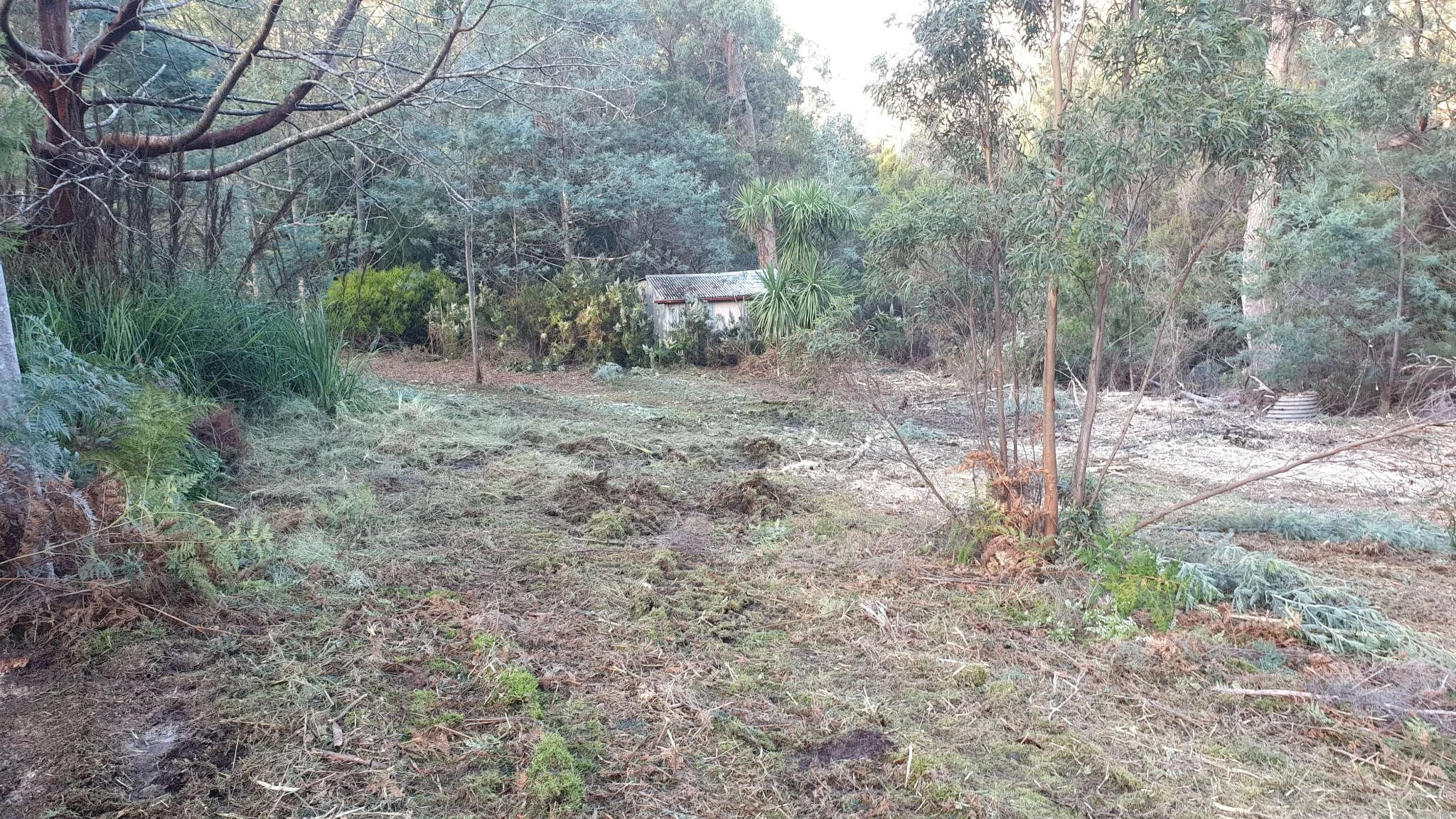 Land Clearing