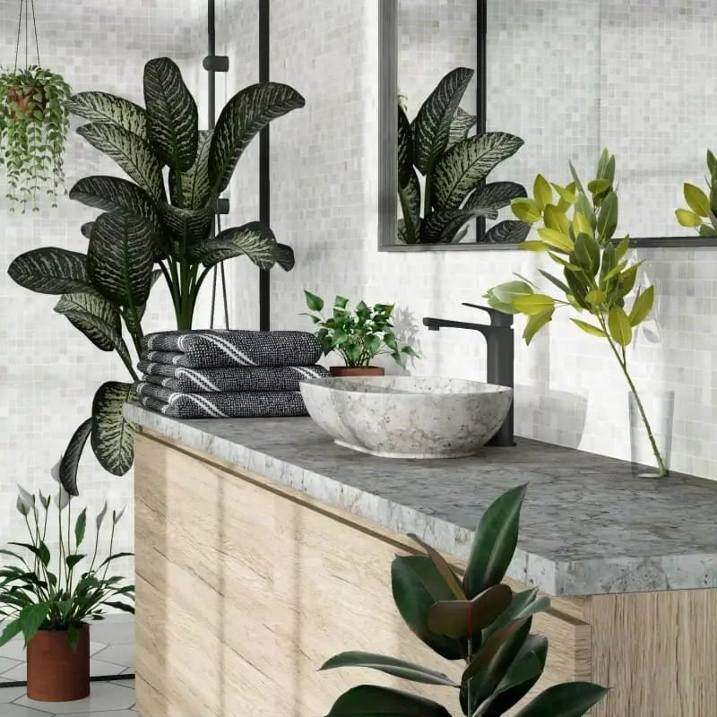 WhatsApp Image 2025-06-09 at 16.12.50.jpeg