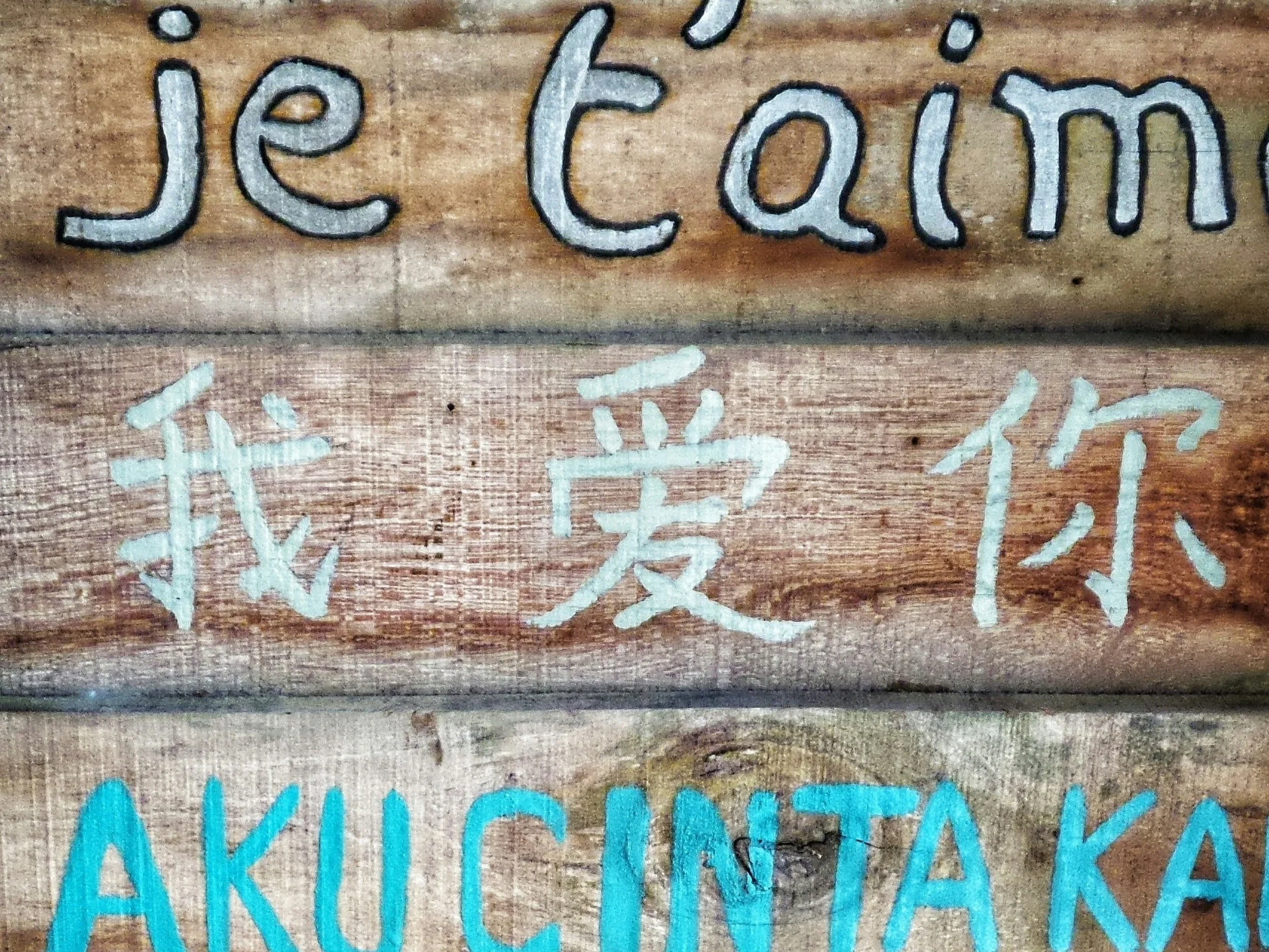 Beyond Borders: Finding Pride in our Shared Humanity