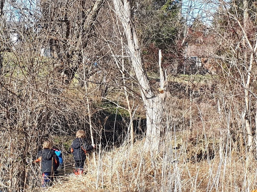 We Know Why Nature is Good for our Health but How Do We Get Outside More? An OT’s perspective