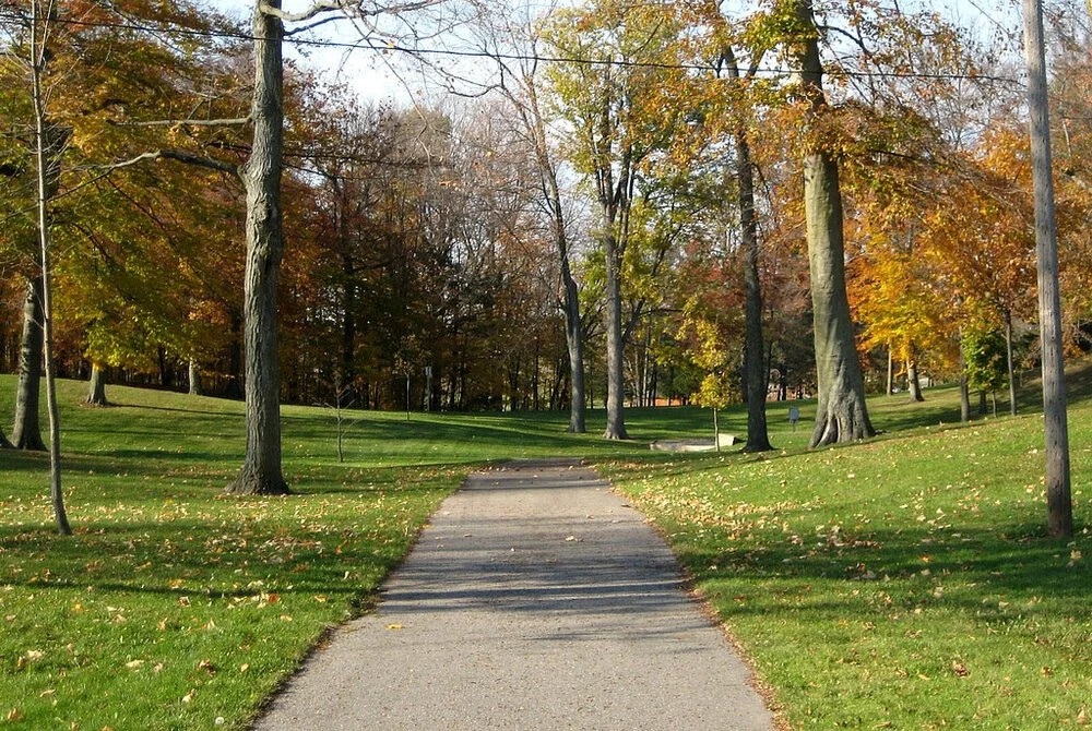 Homeschooling During a Pandemic -Perspectives of a Homeschool Mom