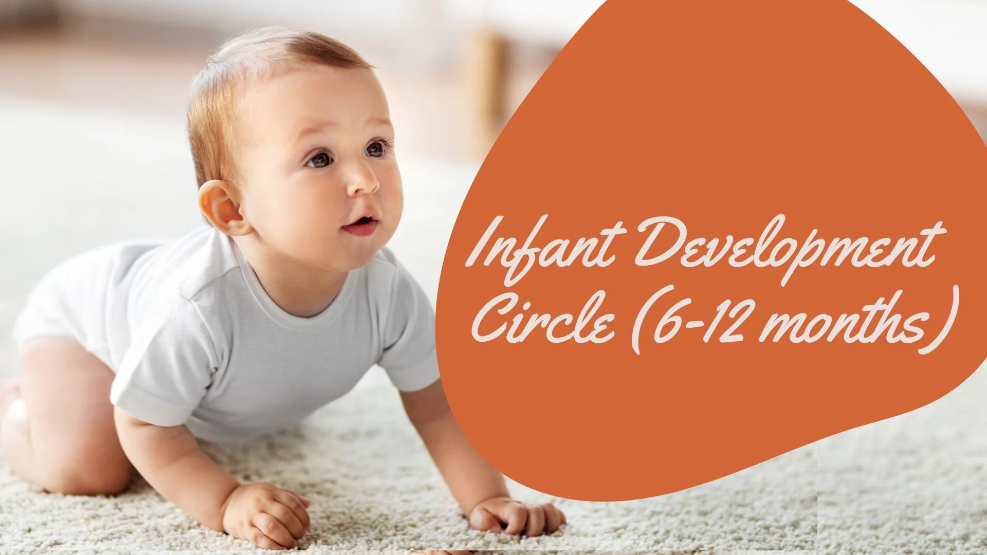 Infant Development Circle 6-12 months 