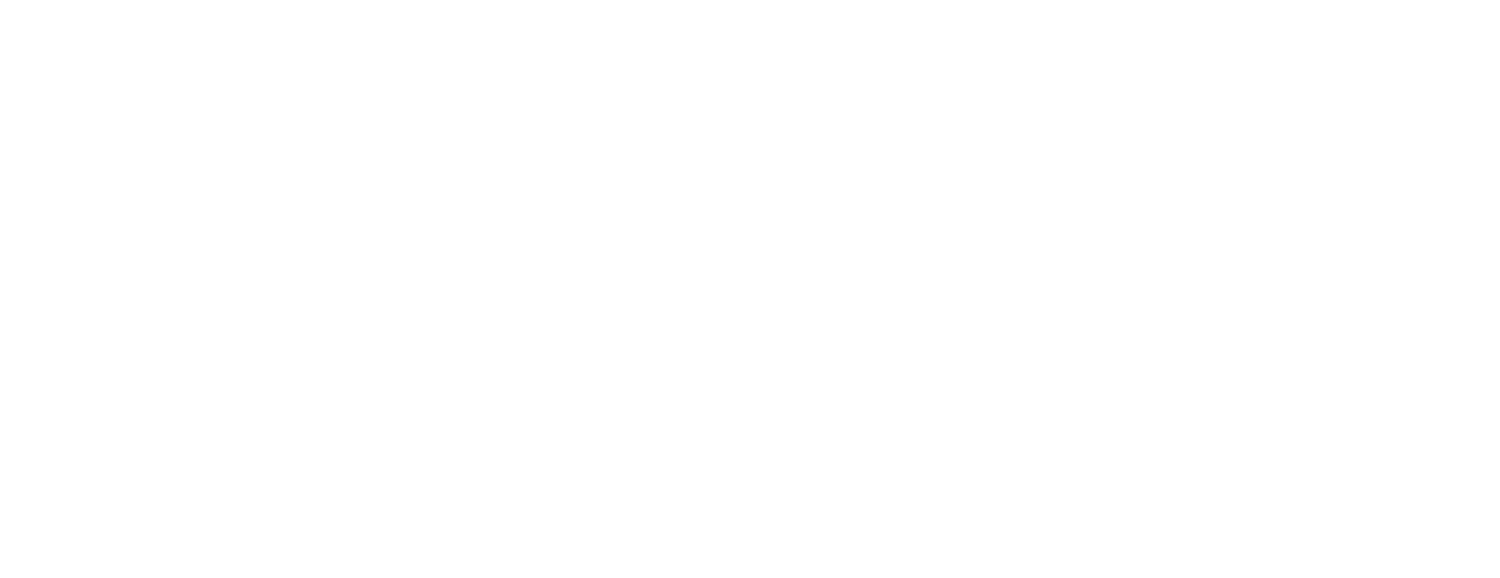 Palisades Recovery Network