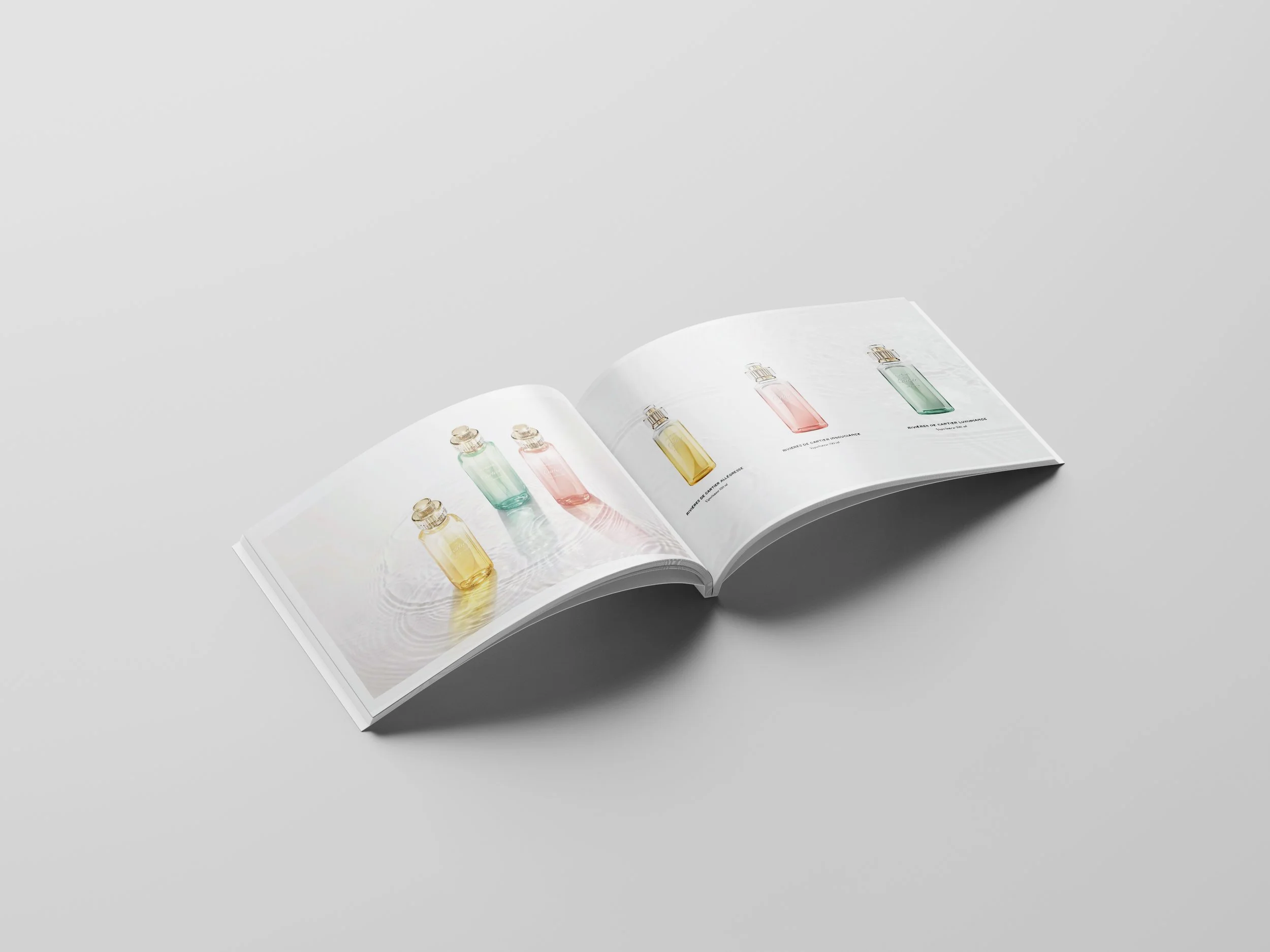 Perfect_Binding_Brochure_Mockup_1 copie.jpg