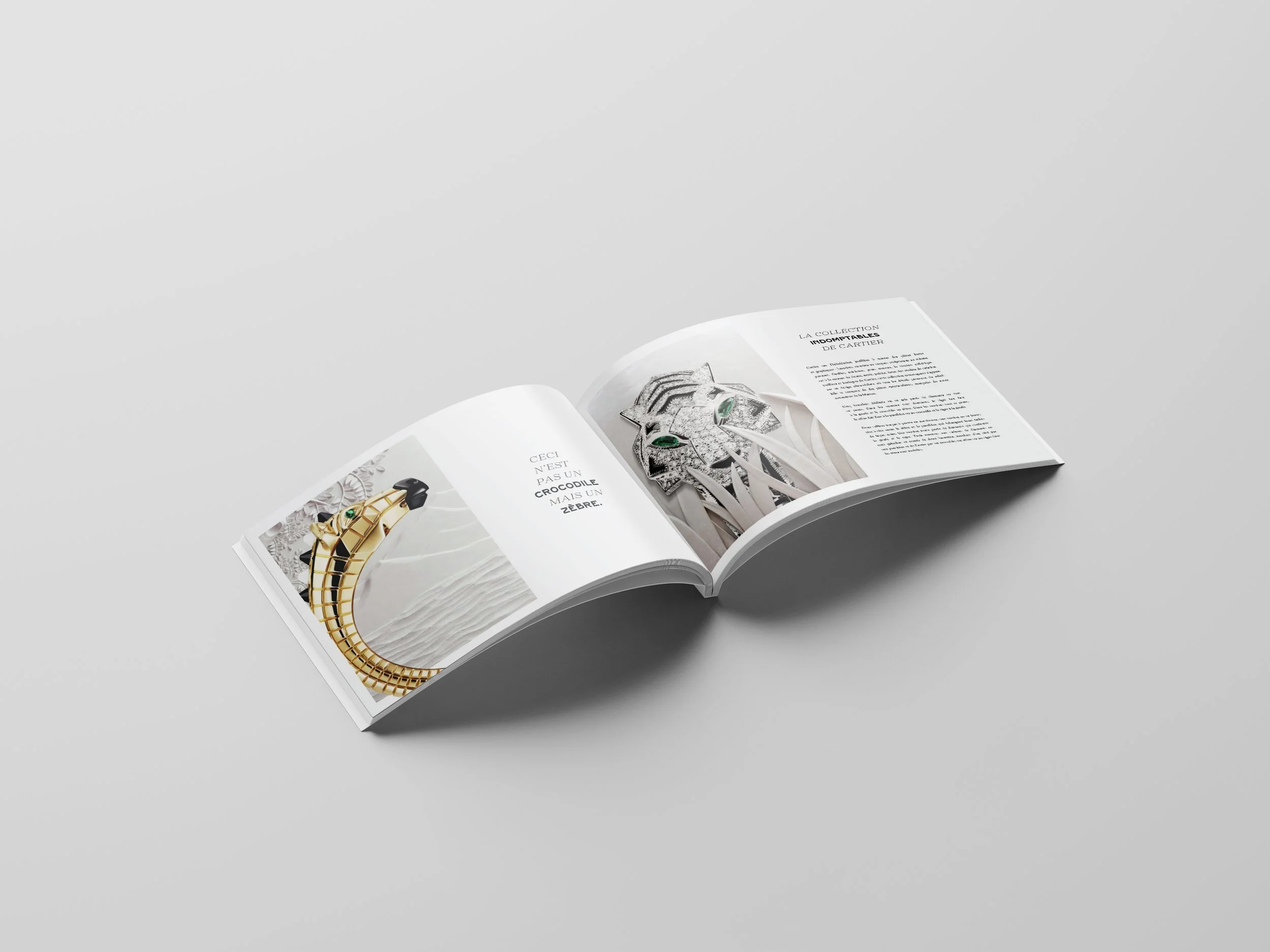 Perfect_Binding_Brochure_Mockup_1 copie3.jpg