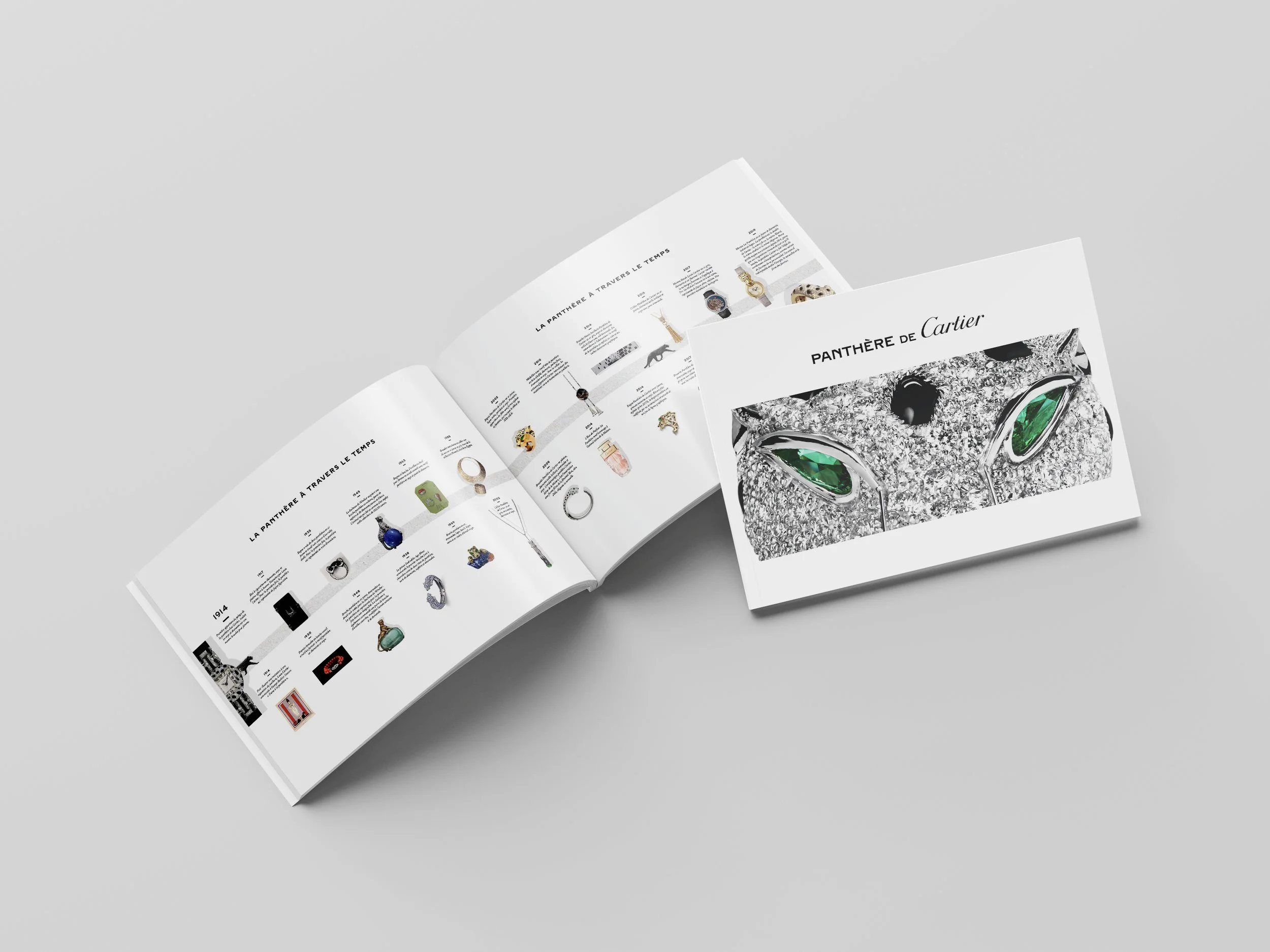 Perfect_Binding_Brochure_Mockup_5 copie2.jpg
