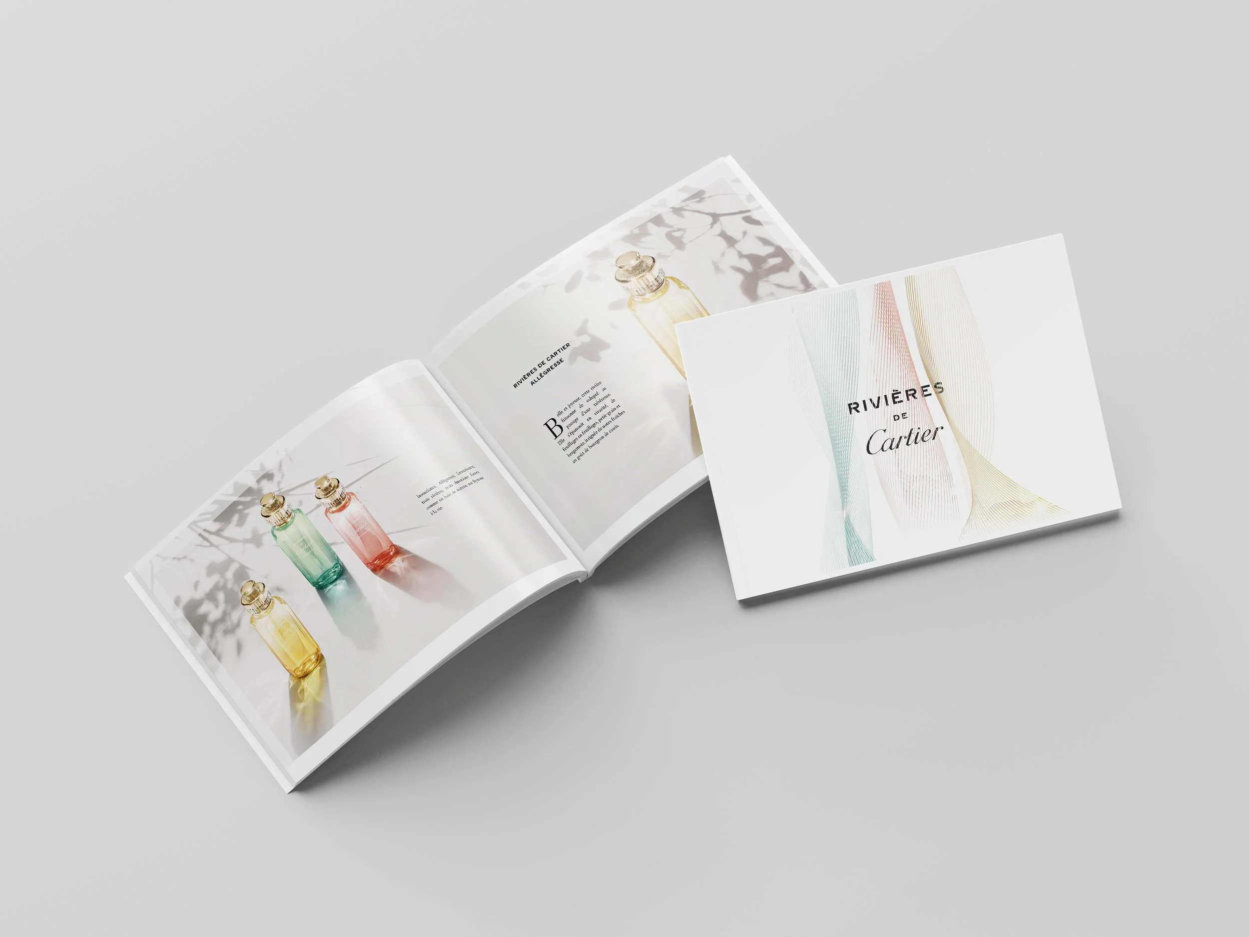Perfect_Binding_Brochure_Mockup_5 copie.jpg