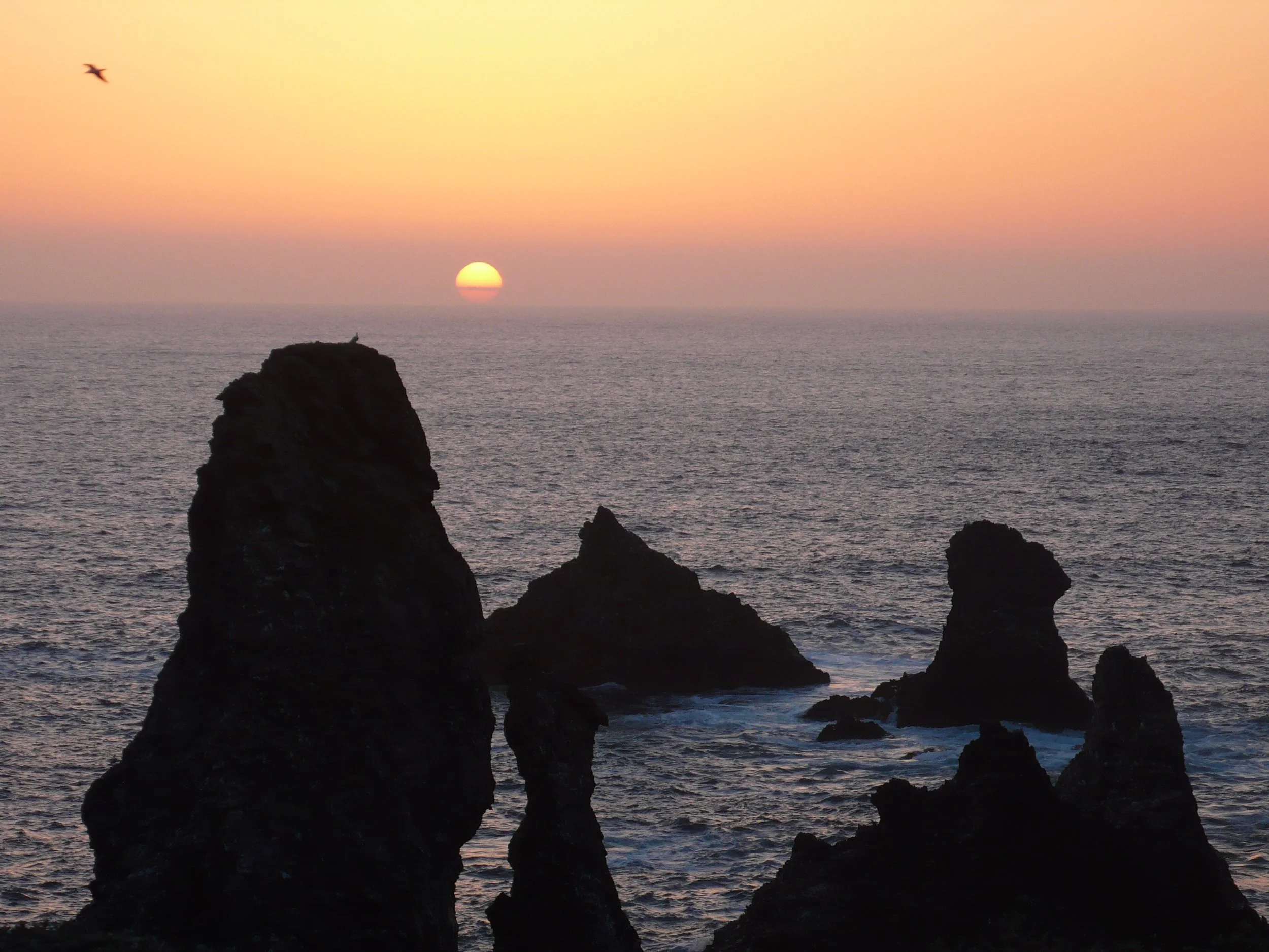 Article paru dans le JDNews