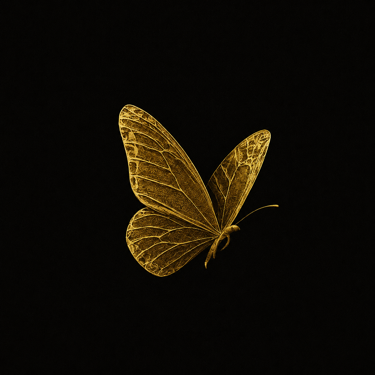 E0D7D0B2-854B-4708-994F-31FC5FDEDBC1.PNG