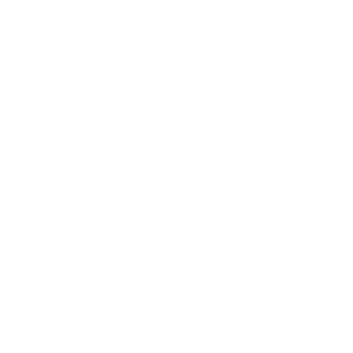 Complete Software Services