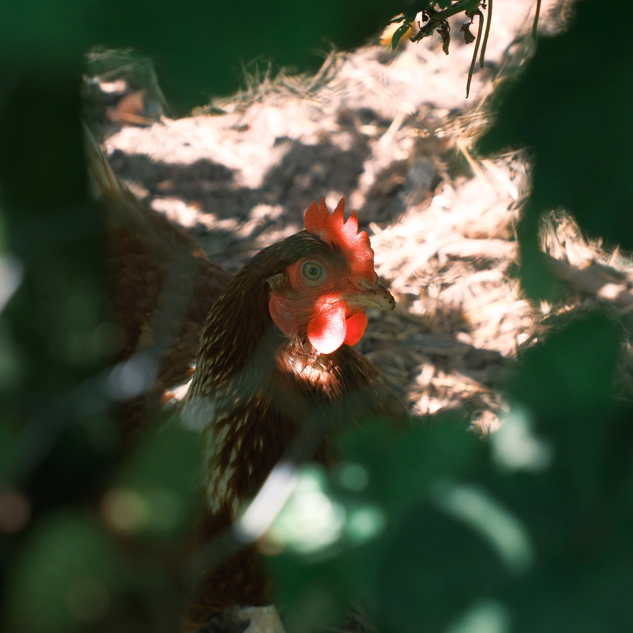 DSCF5638.jpg