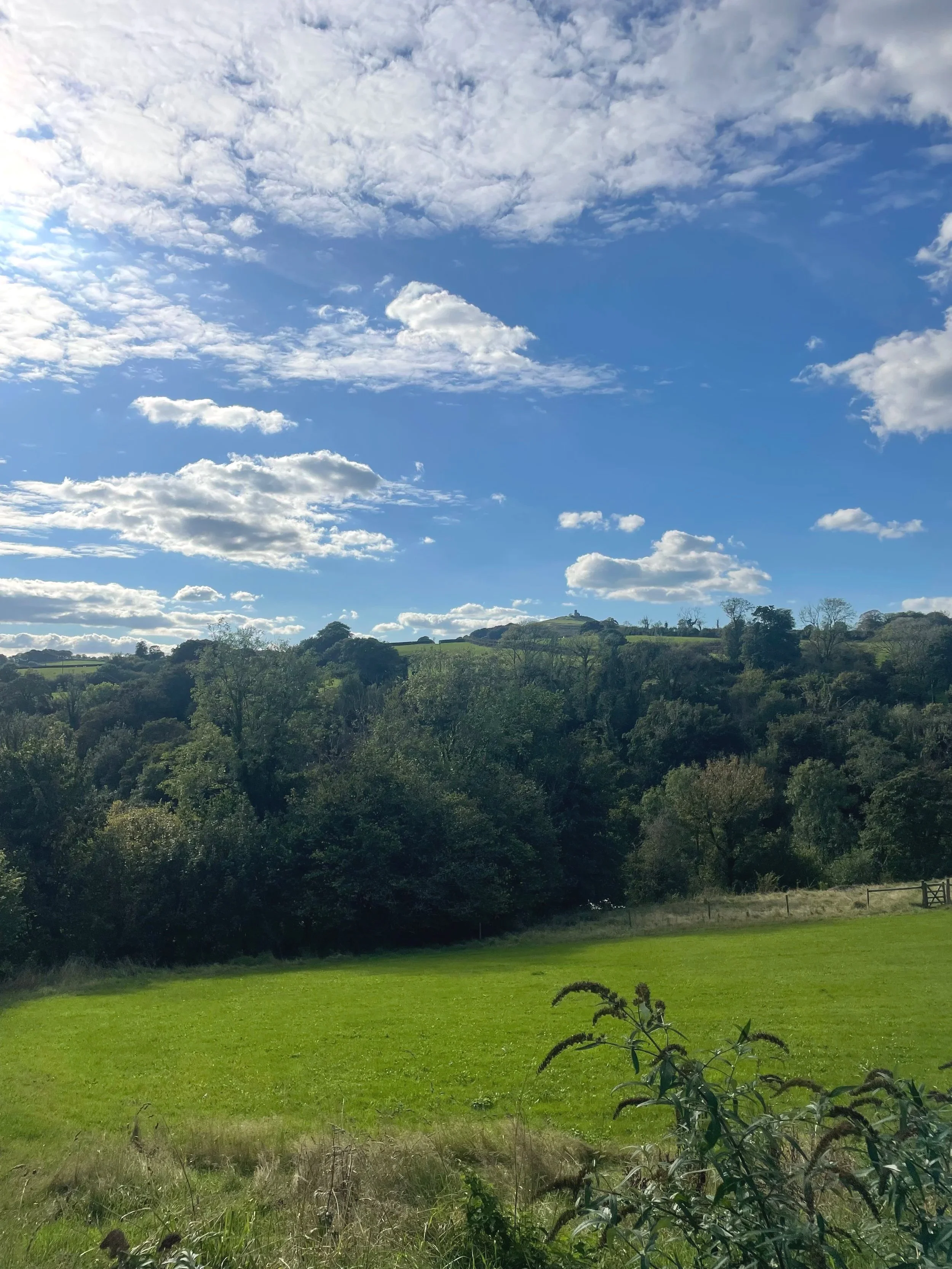 A scenic landscape with a bright blue sky filled with scattered clouds, rolling green hills, and a grassy field in the foreground.