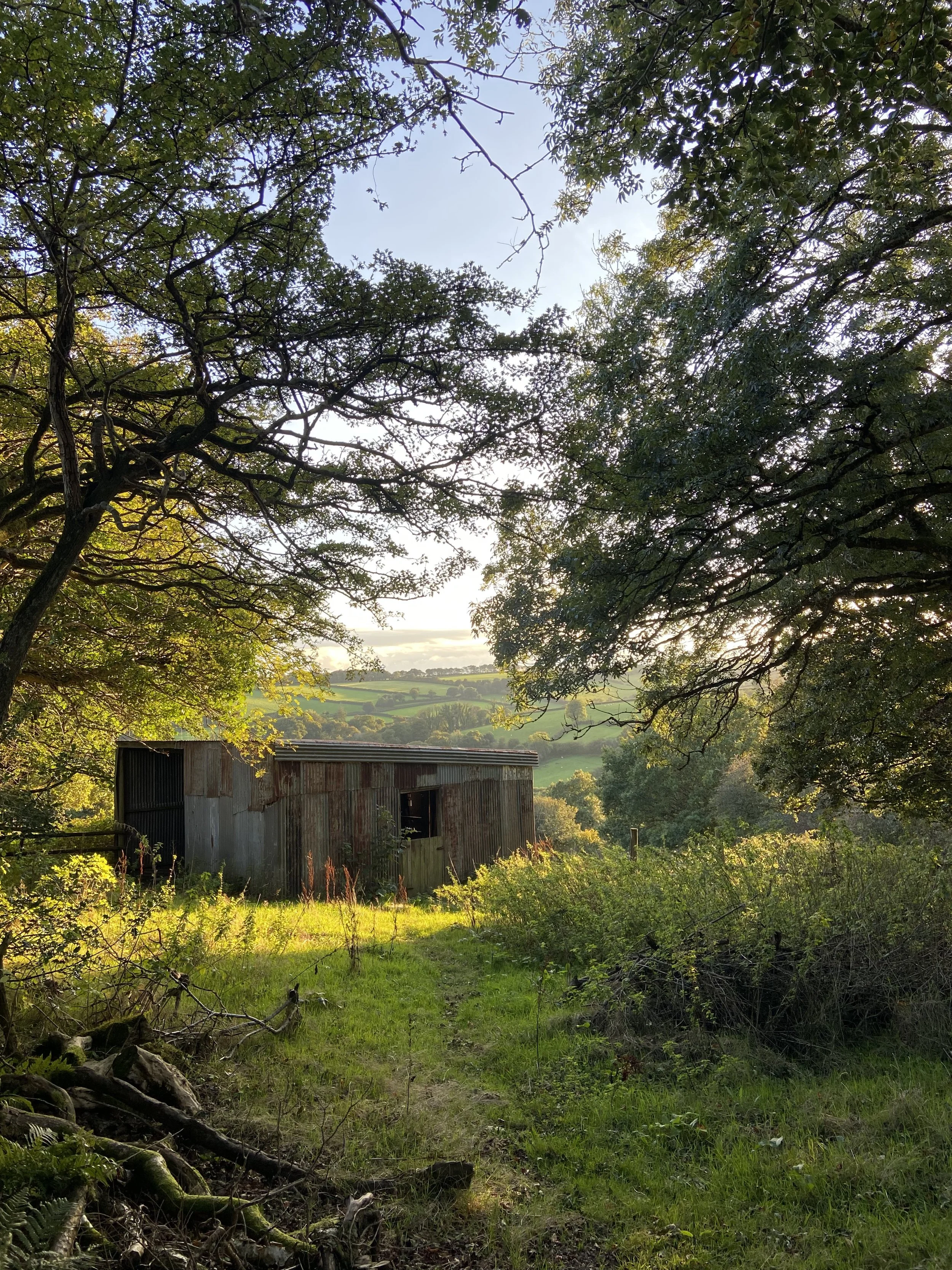 An old weathered wooden shed surrounded by green grass and plants, with large trees overhead and a scenic rolling countryside landscape in the background during daylight.