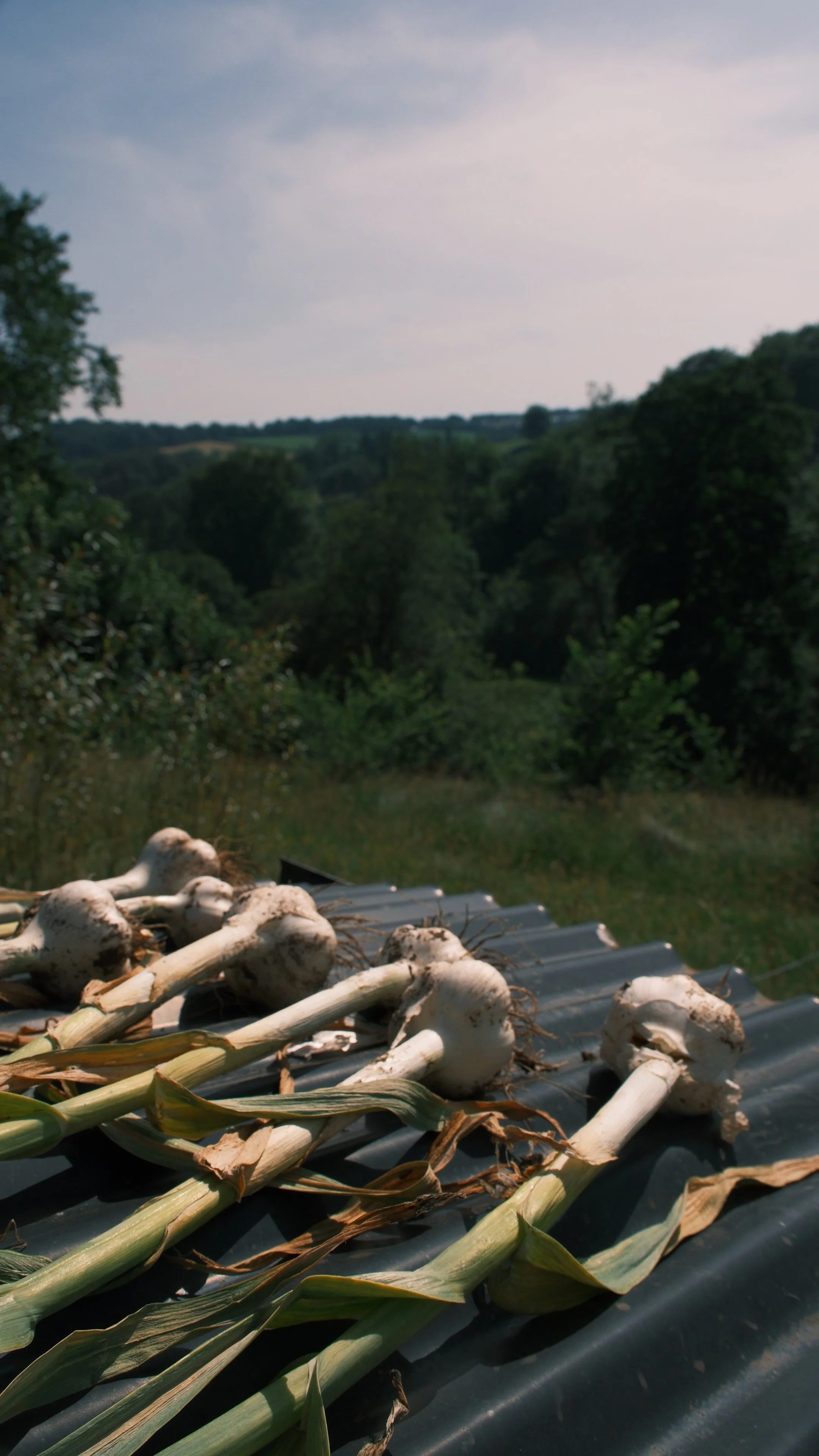 DSCF5648.jpg