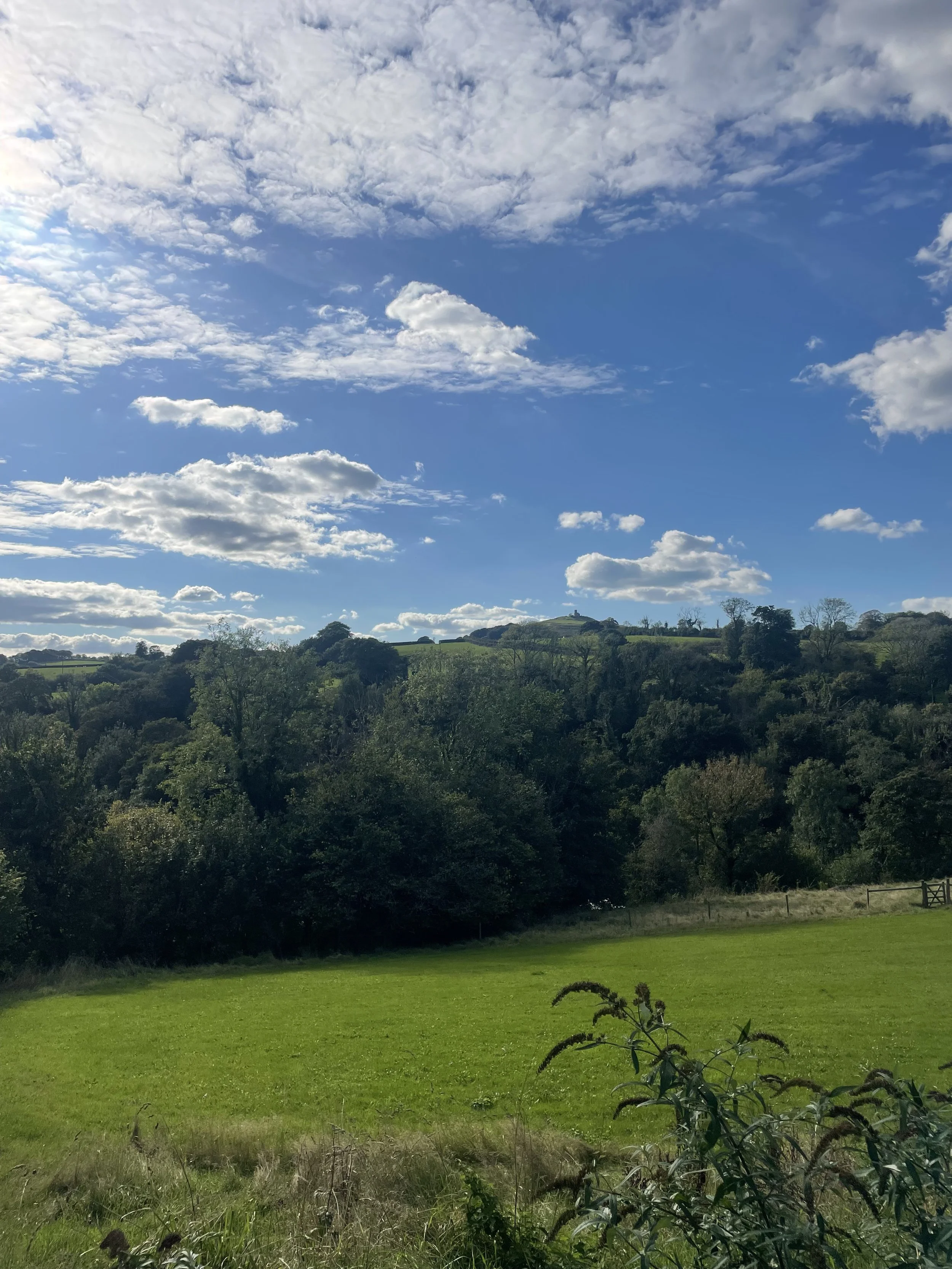 A scenic landscape with a bright blue sky filled with scattered clouds, rolling green hills, and a grassy field in the foreground.