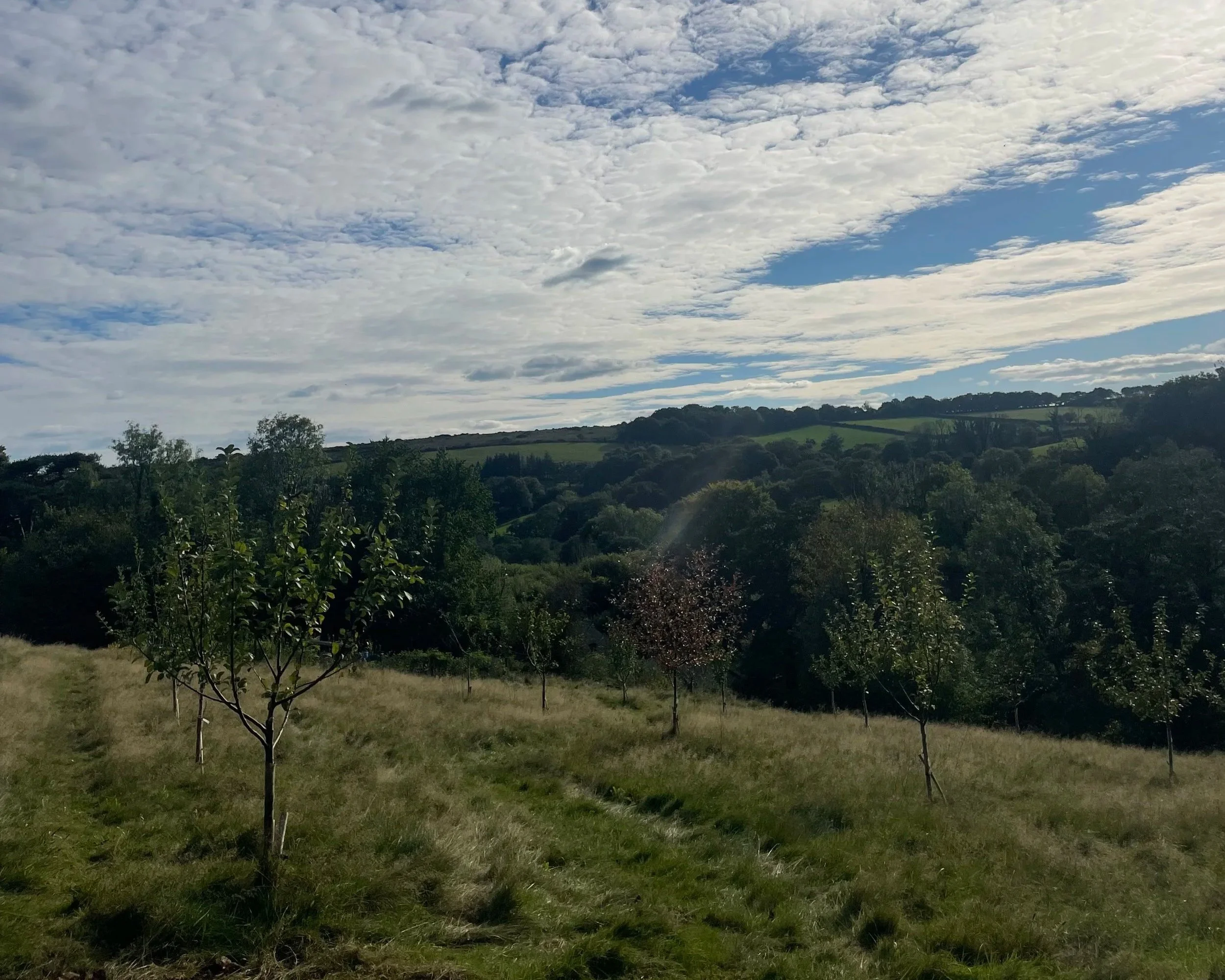 A landscape view of a countryside with rolling hills, green trees, and sparse clouds in the sky.